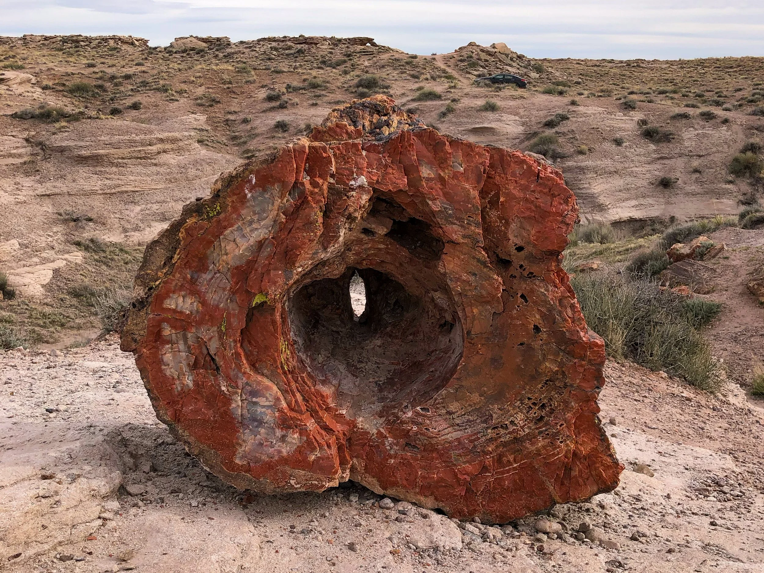 Petrified_Forest_National_Park_07.jpg