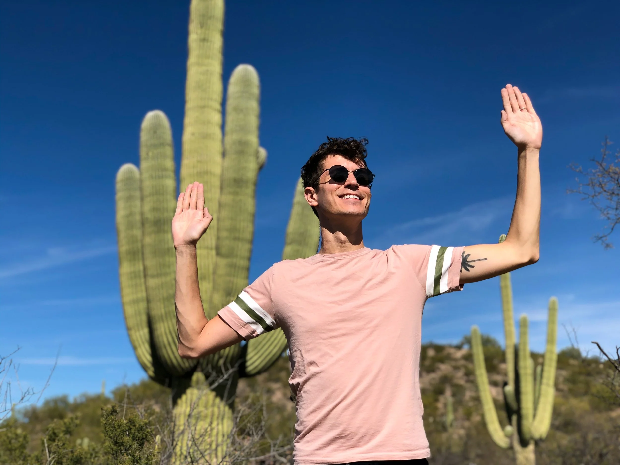 Saguaro_National_Park_08.jpg