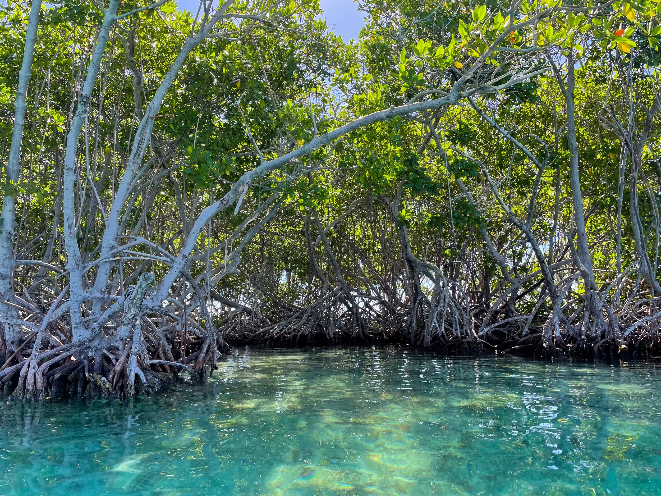 La_Parguera_Nature_Reserve_06.jpg