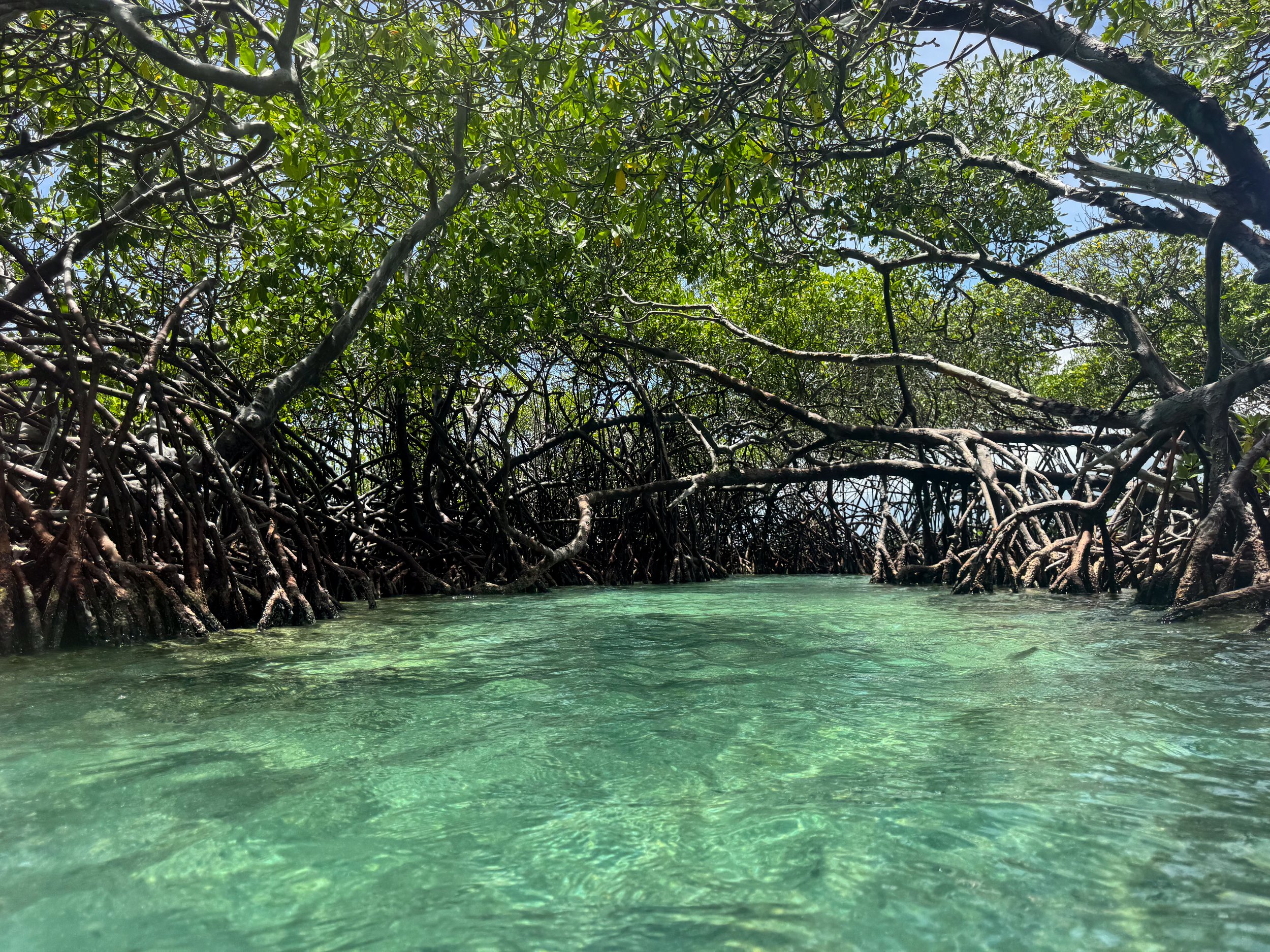 La_Parguera_Nature_Reserve_09.jpg