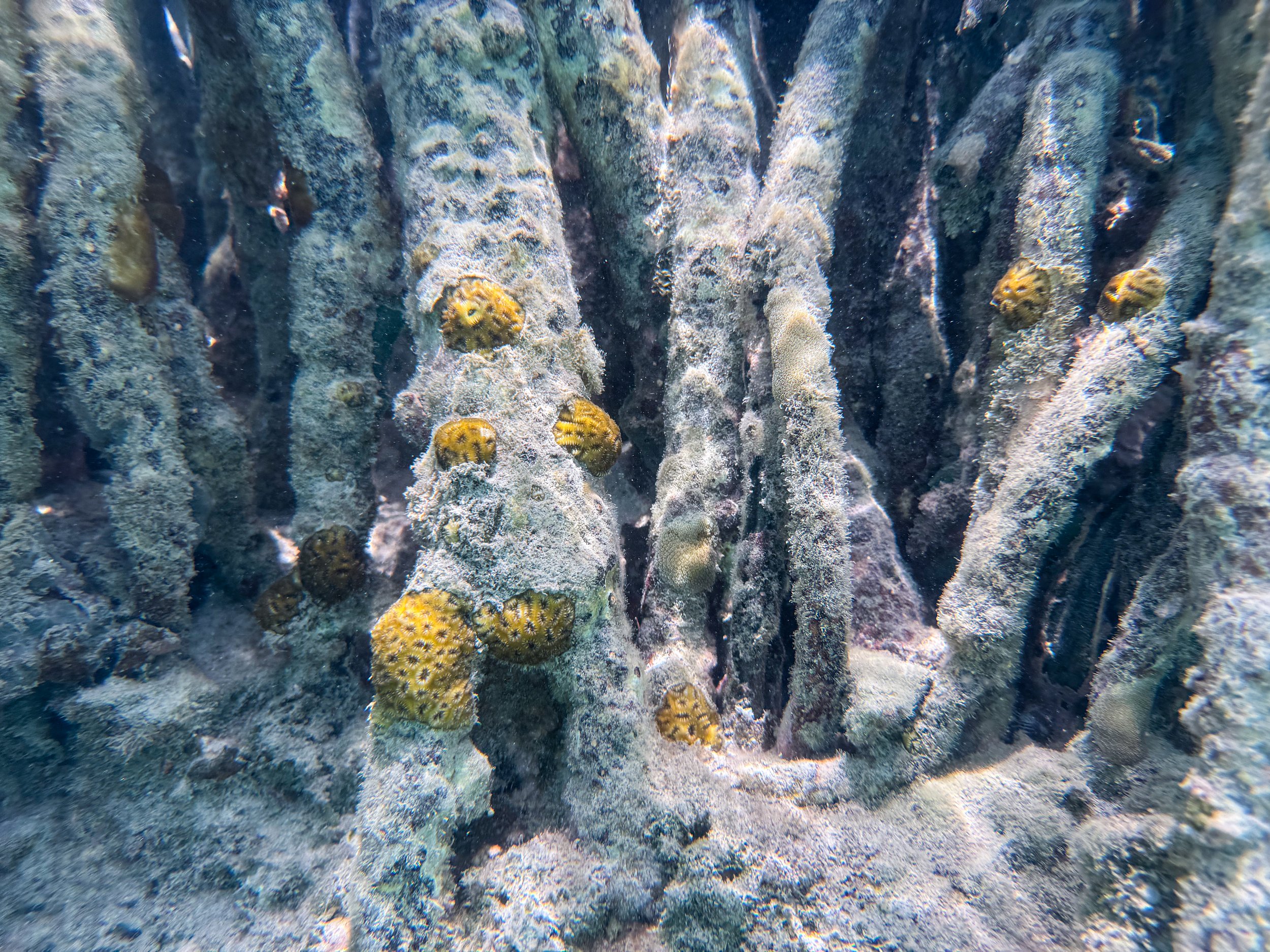 La_Parguera_Nature_Reserve_13.jpg
