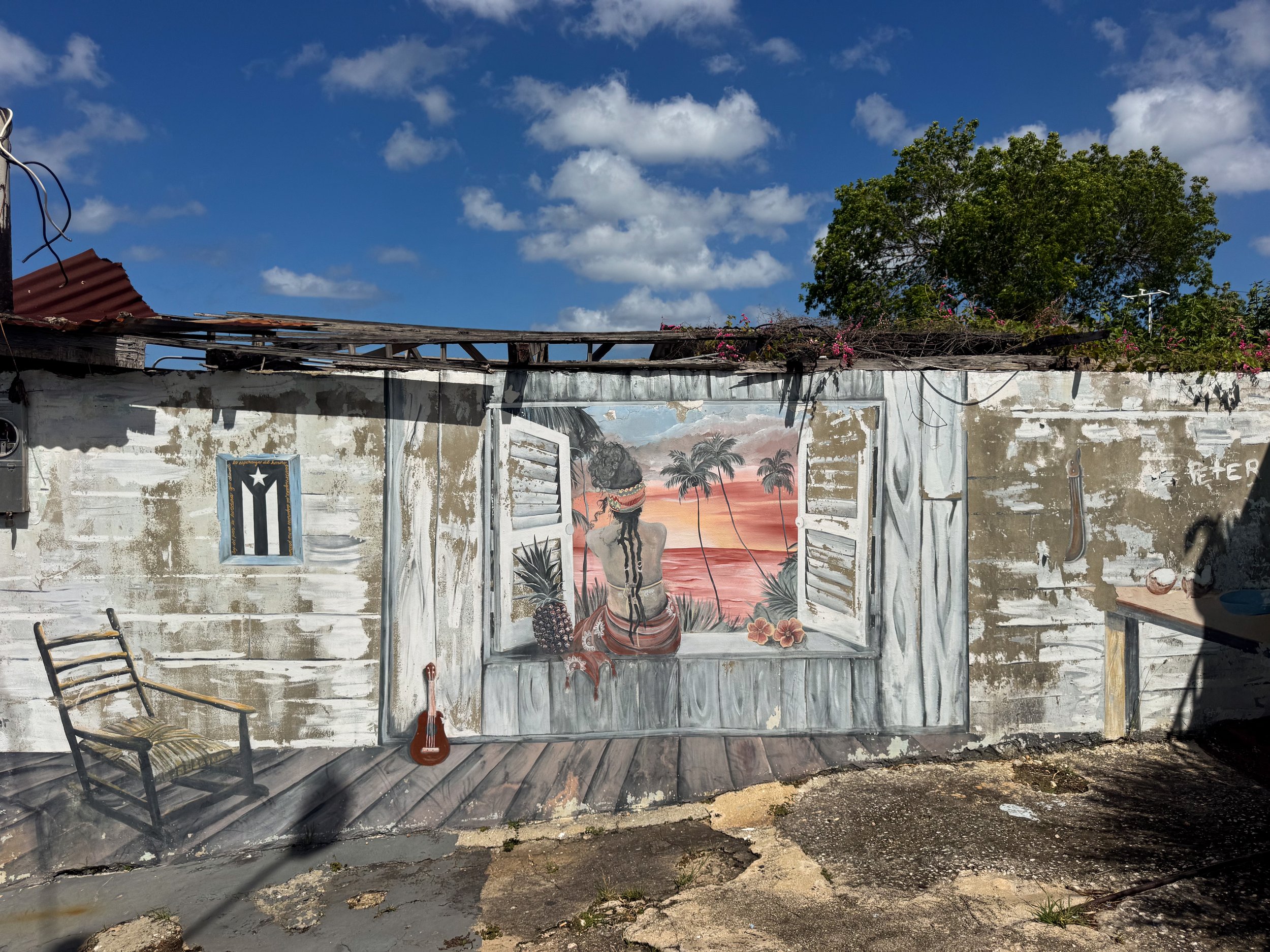 Casas_de_Colores_Aguadilla_07.jpg