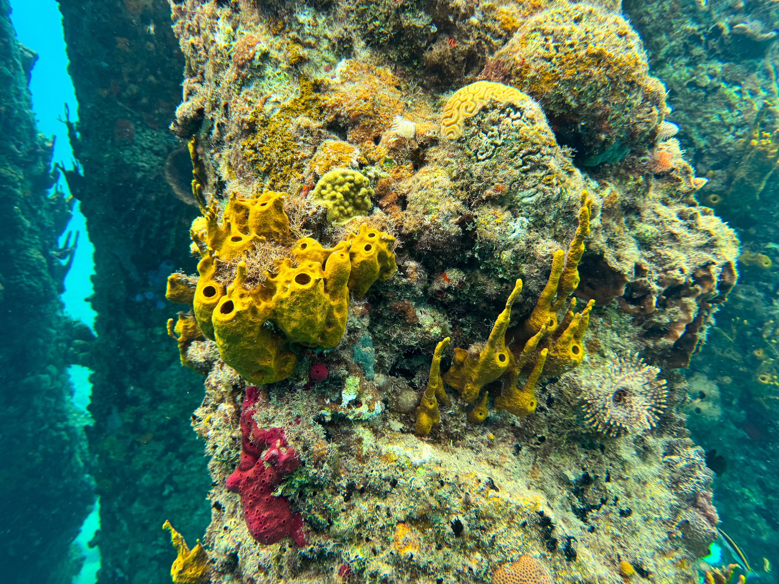 Frederiksted_Pier_01.jpg