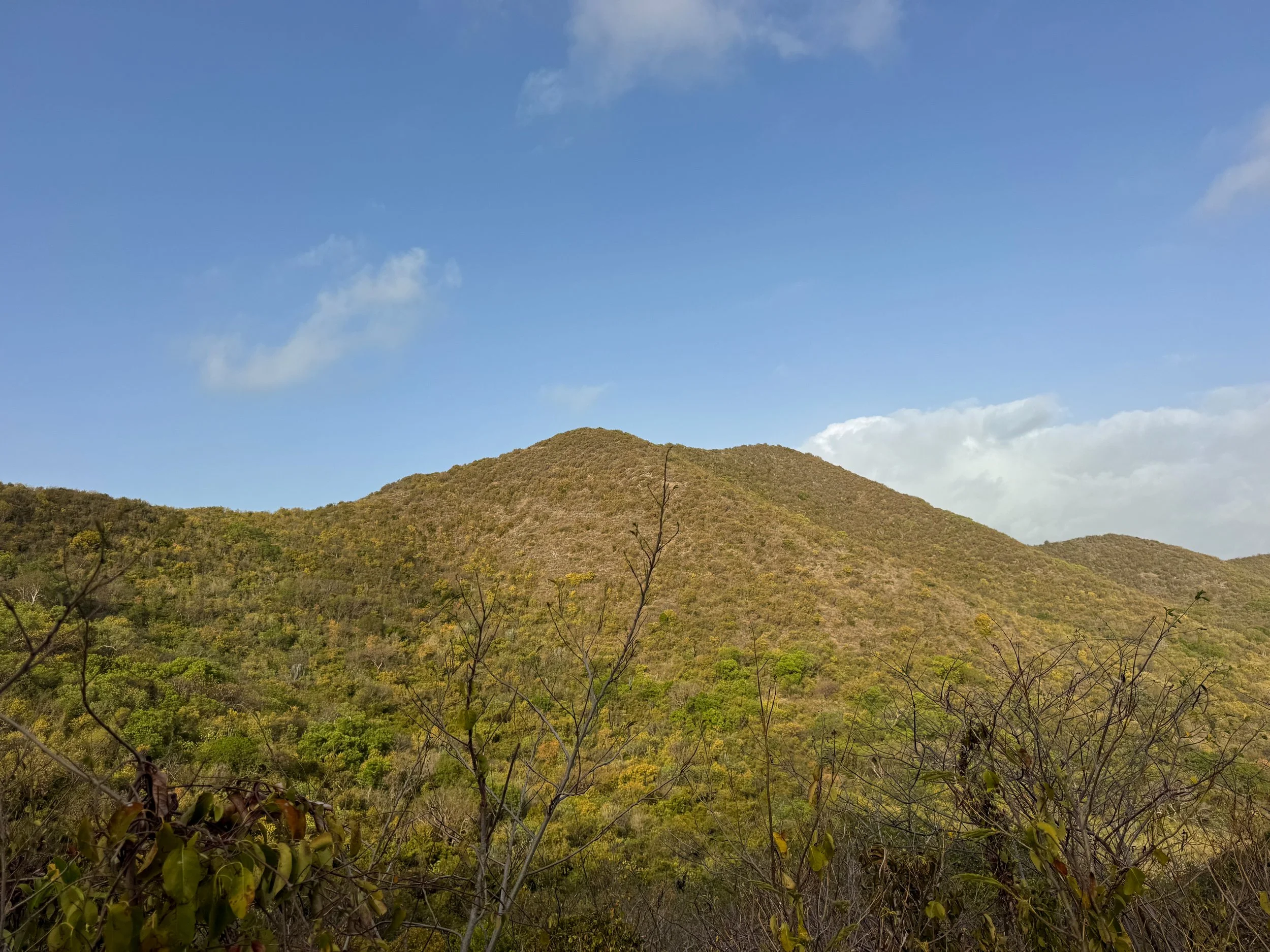 Goat_Mountain_St_Croix_01.jpg
