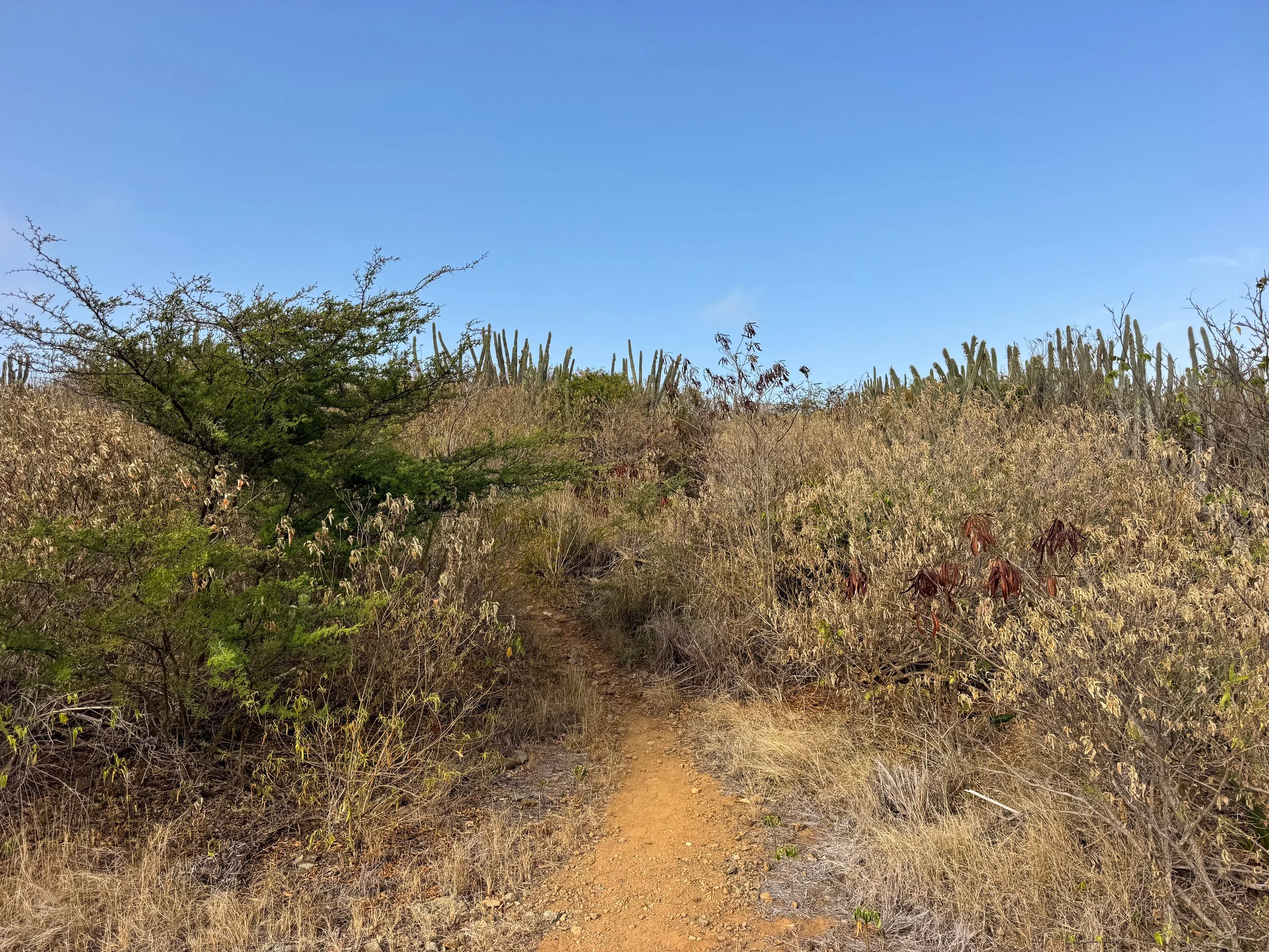 Goat_Mountain_St_Croix_04.jpg