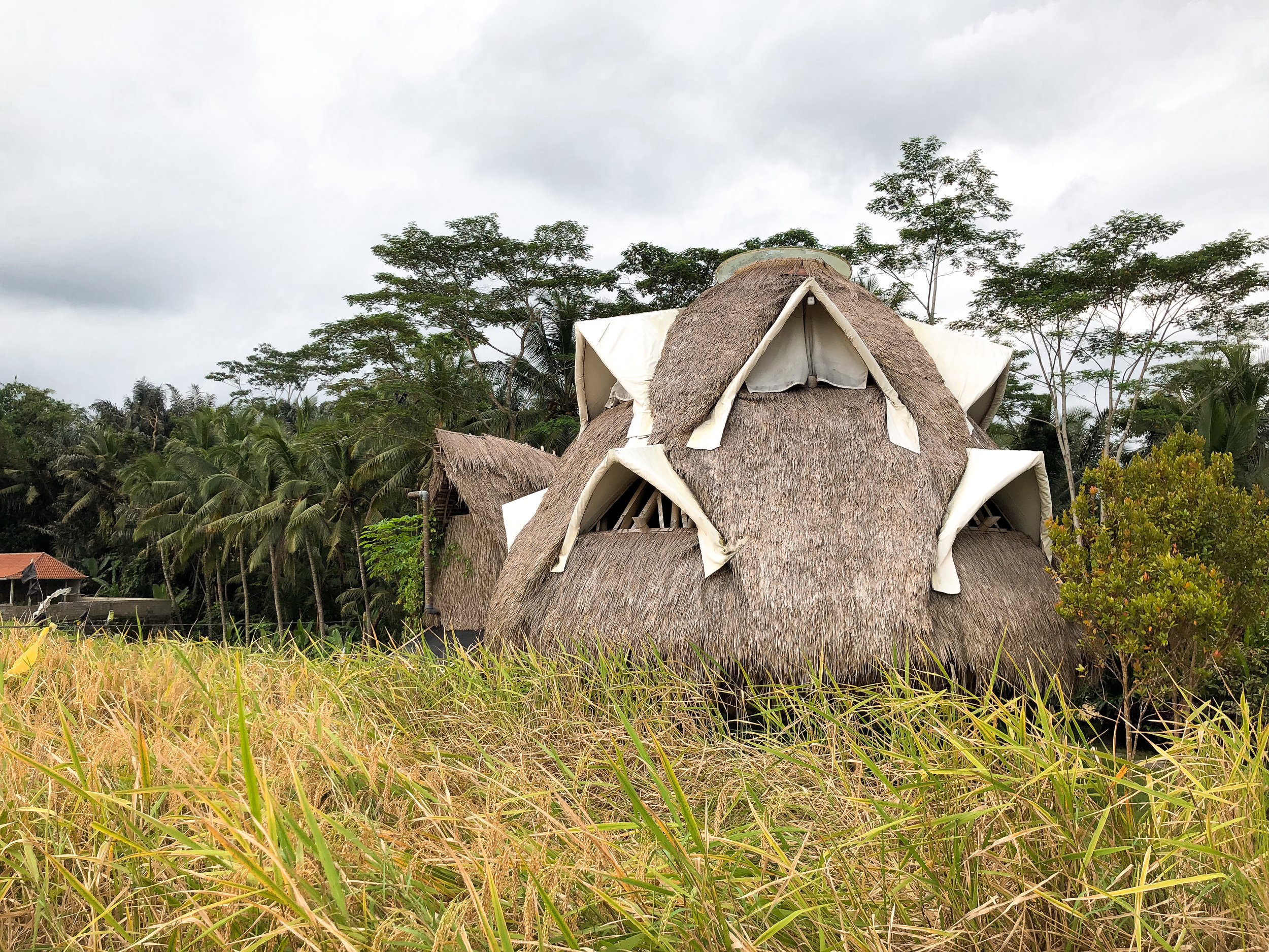 New_Earth_Haven_Bali_01.jpg