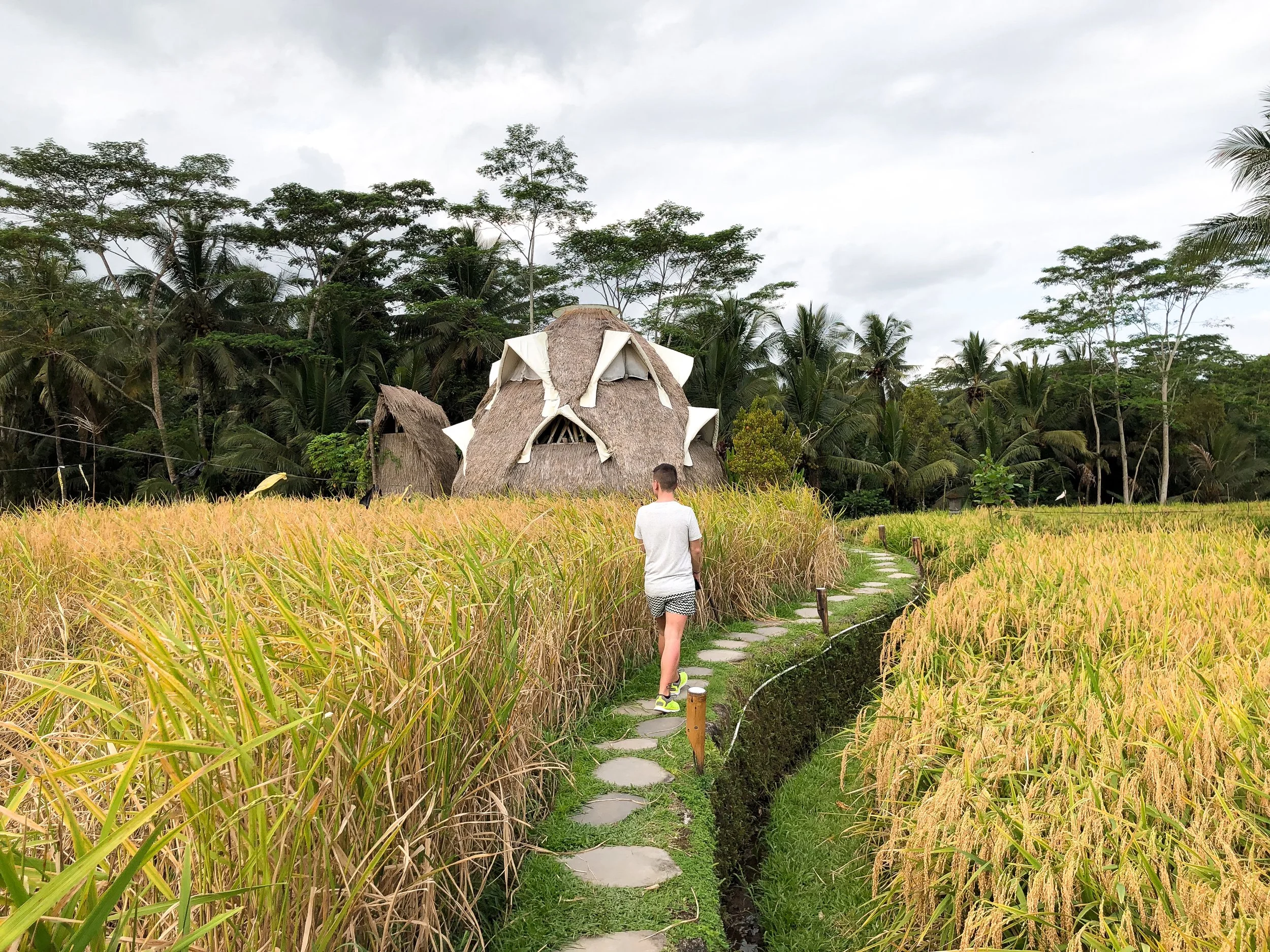 New_Earth_Haven_Bali_02.jpg
