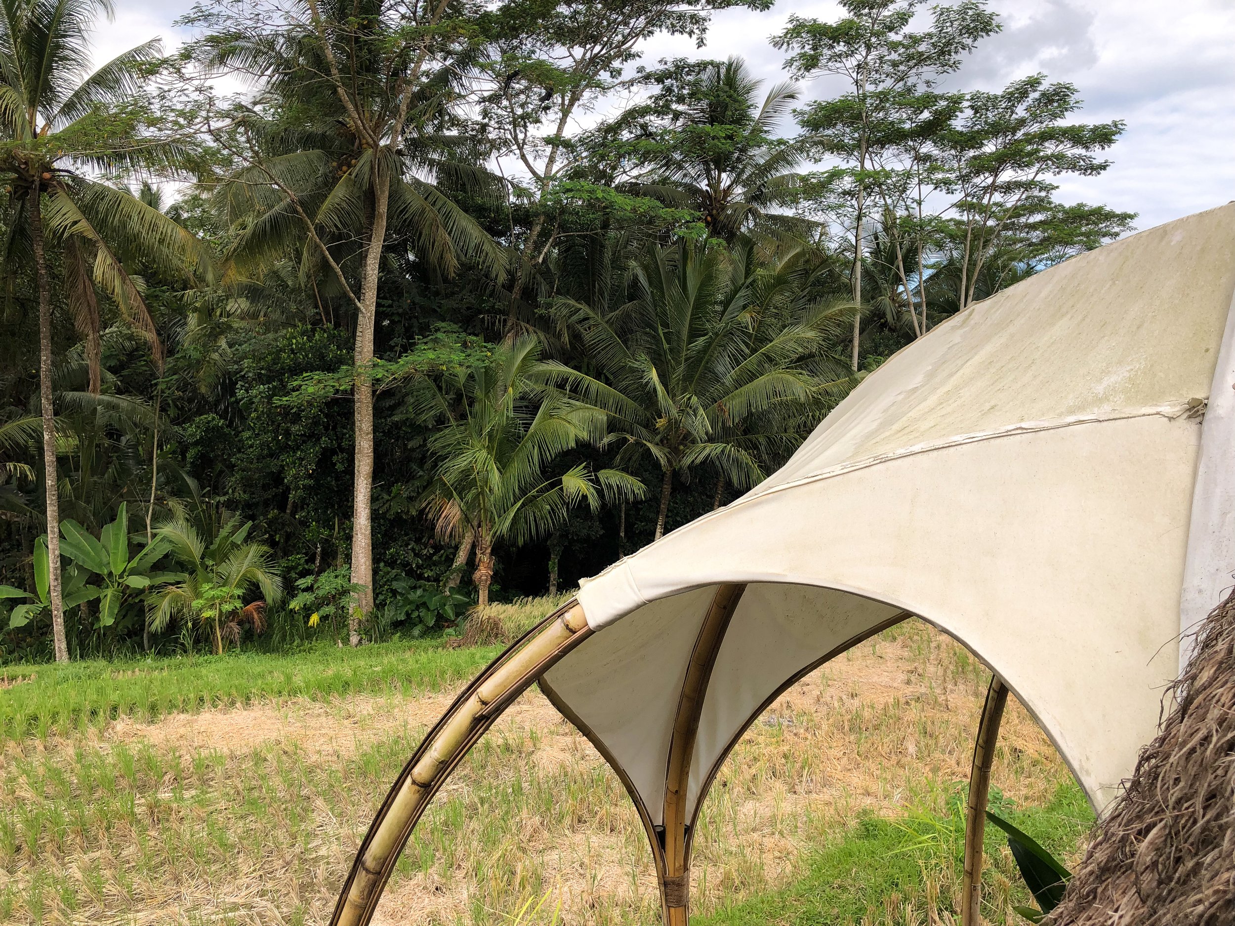 New_Earth_Haven_Bali_06.jpg