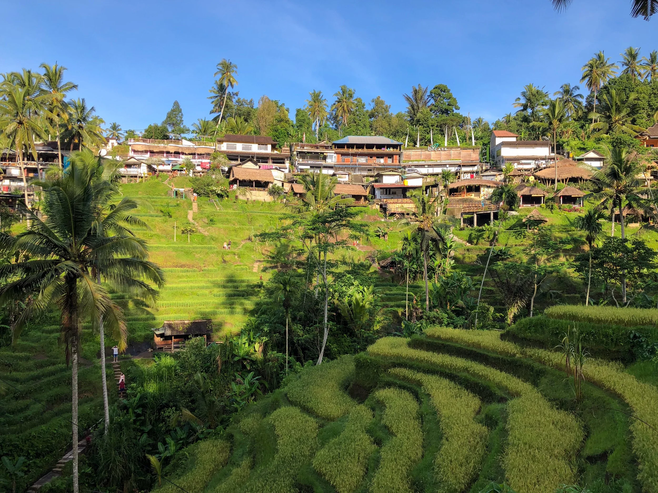 Tegalalang_Rice_Terraces_04.jpg