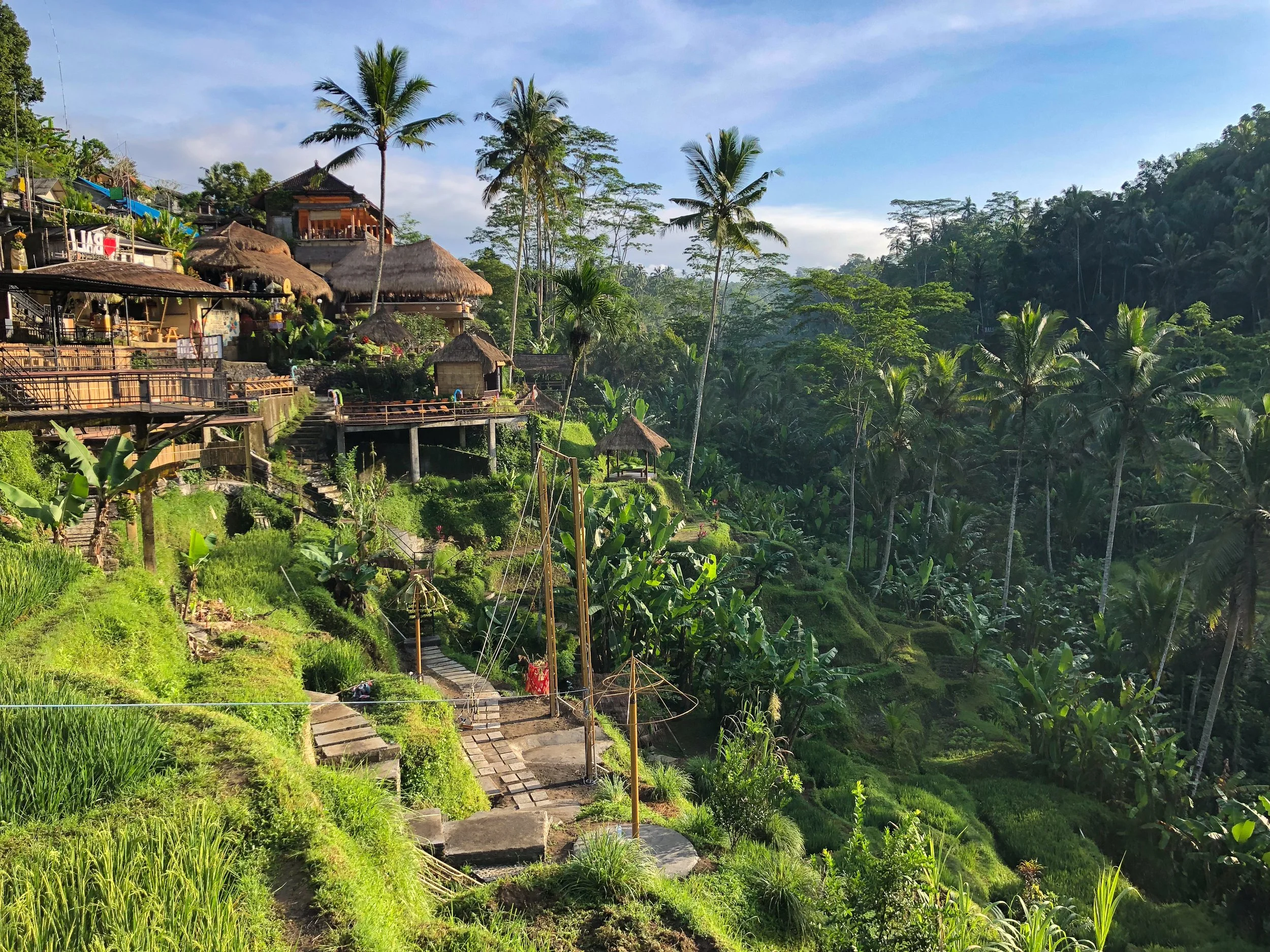 Tegalalang_Rice_Terraces_06.jpg