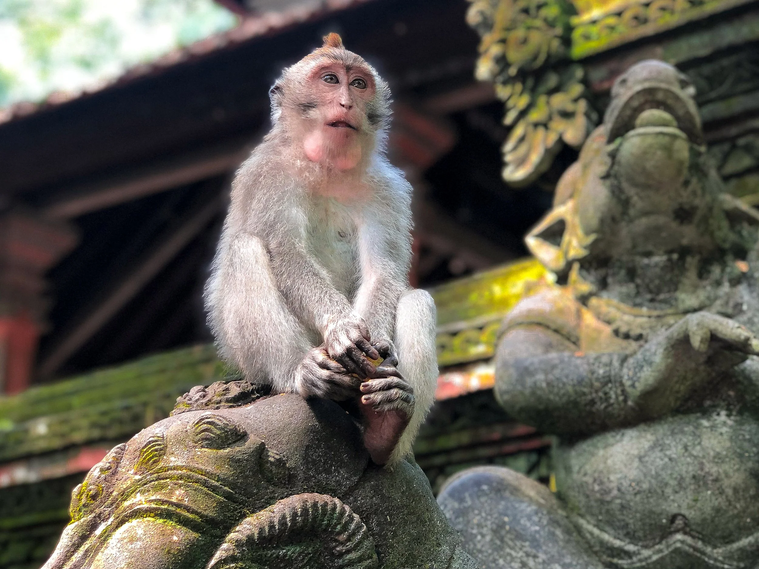 Bali_ Sacred_Monkey_Forest_01.jpg