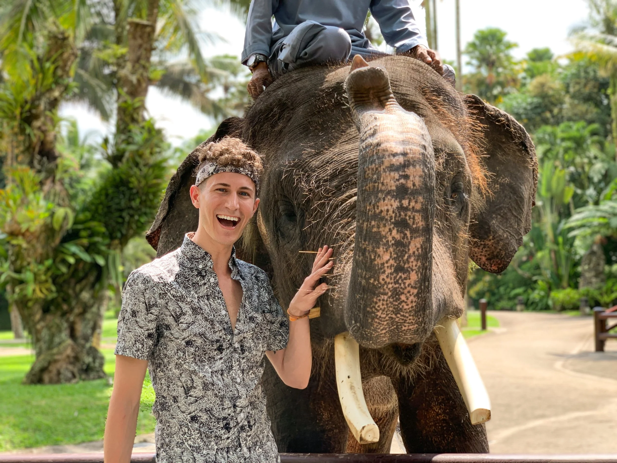 Mason_Elephant_Park_&_Lodge_02.jpg