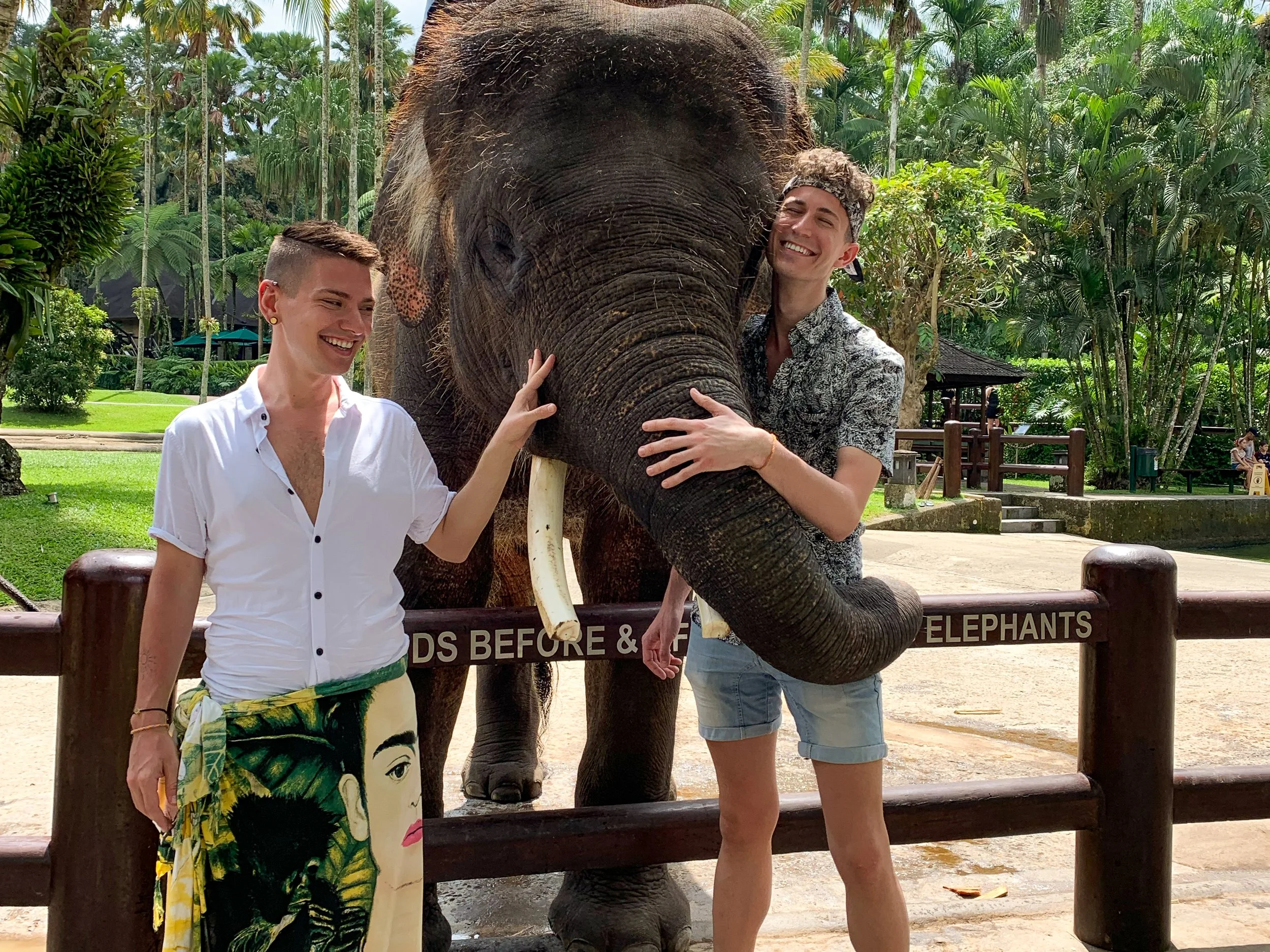 Mason_Elephant_Park_&_Lodge_03.jpg
