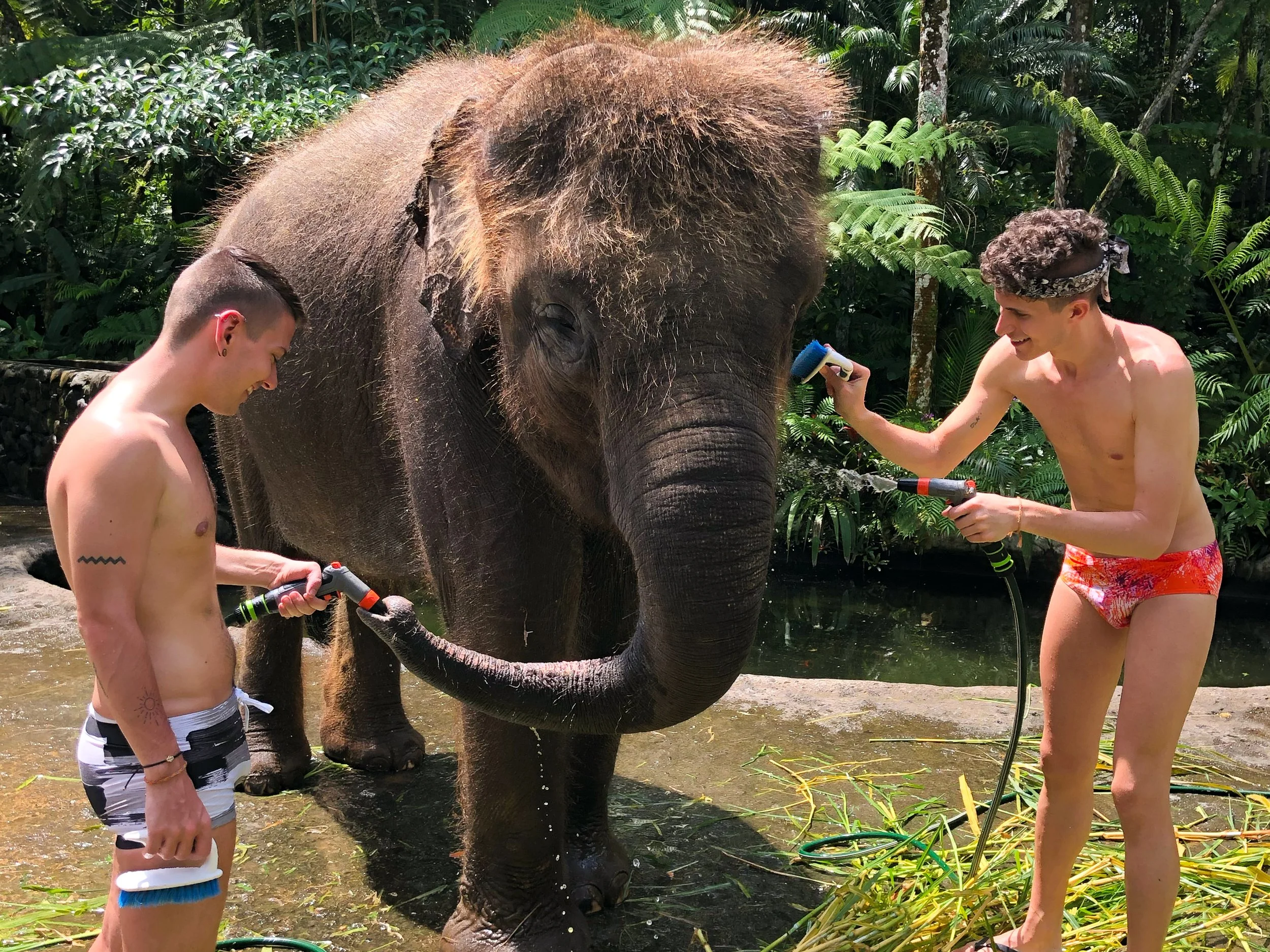 Mason_Elephant_Park_&_Lodge_05.jpg