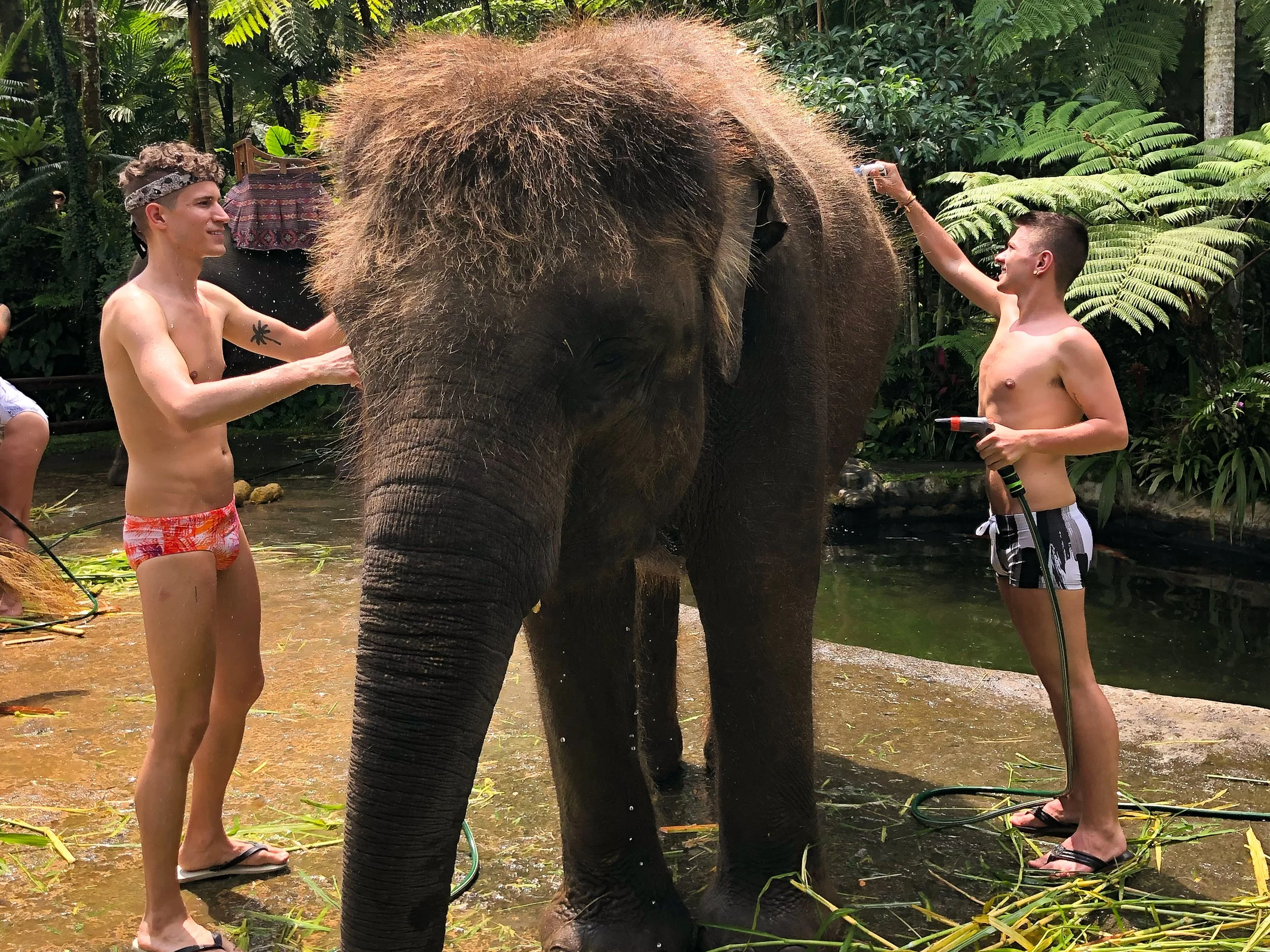 Mason_Elephant_Park_&_Lodge_06.jpg