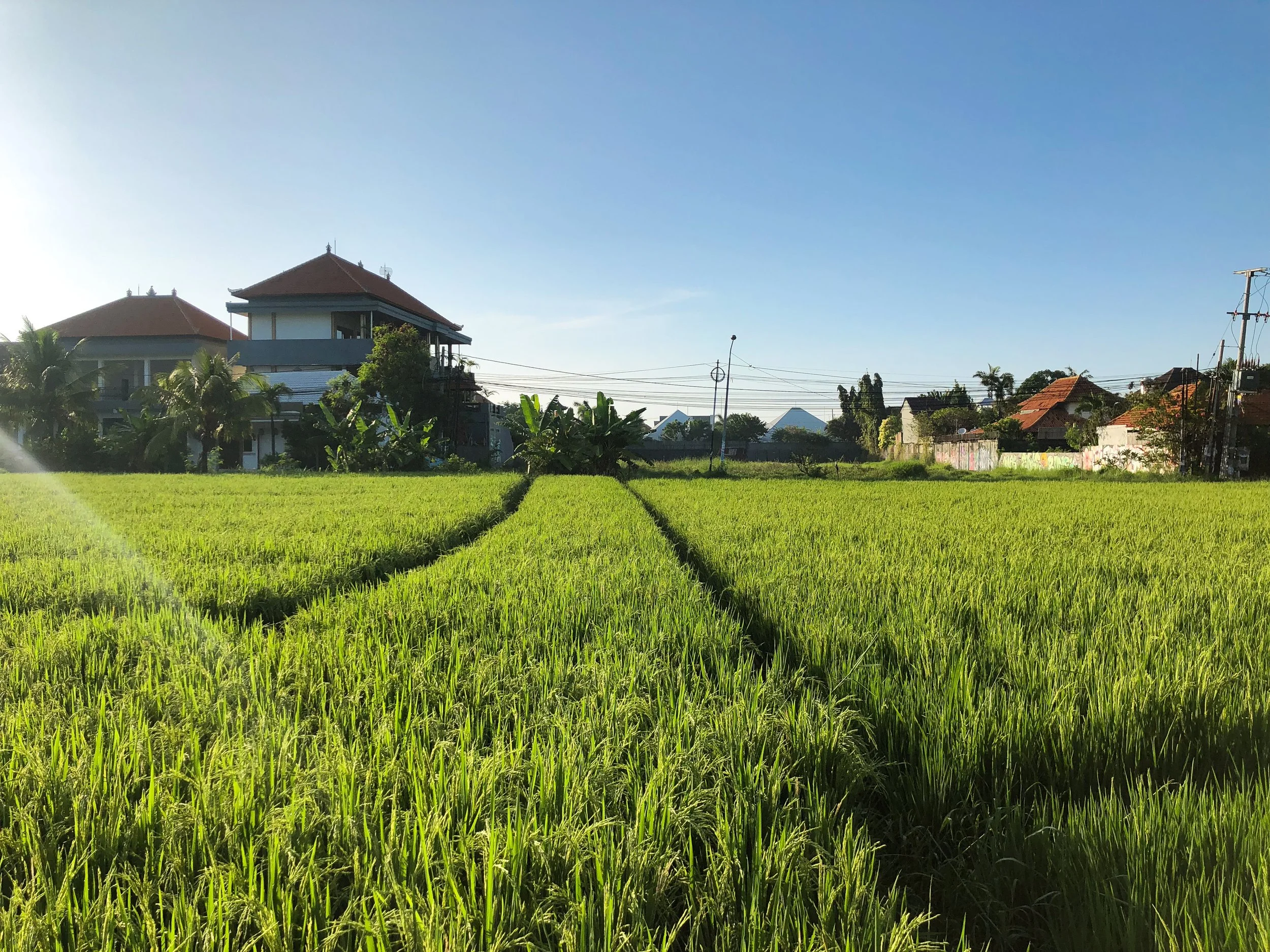 Canggu_01.jpg