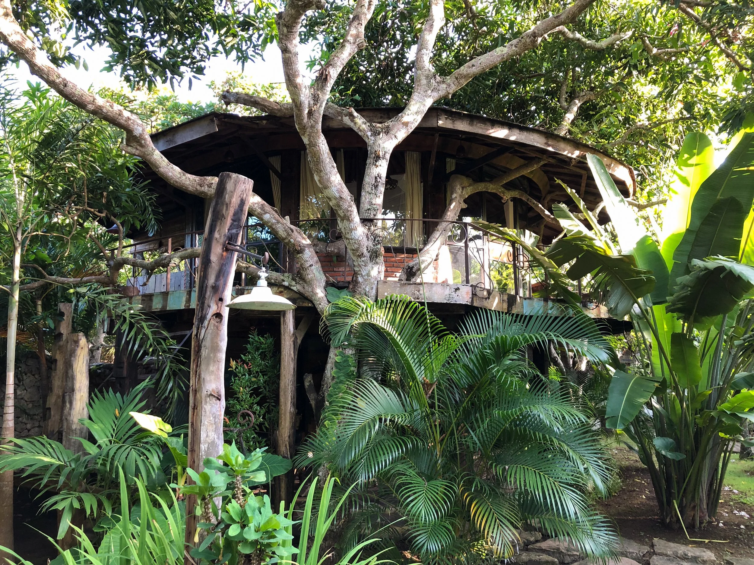 Magical_Vintage_Treehouse_01.jpg