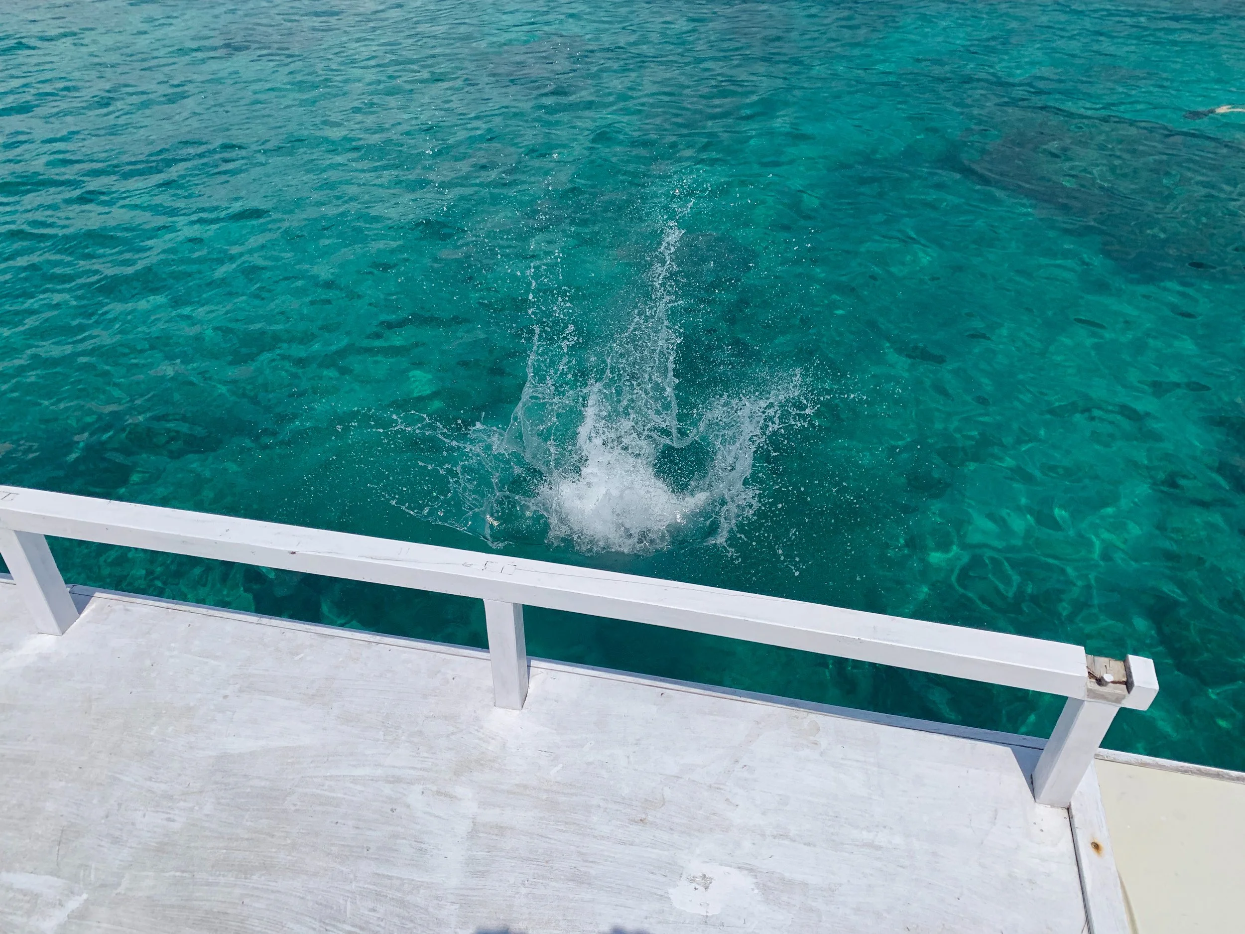 The_Gilis_Snorkel_Tour_04.jpg