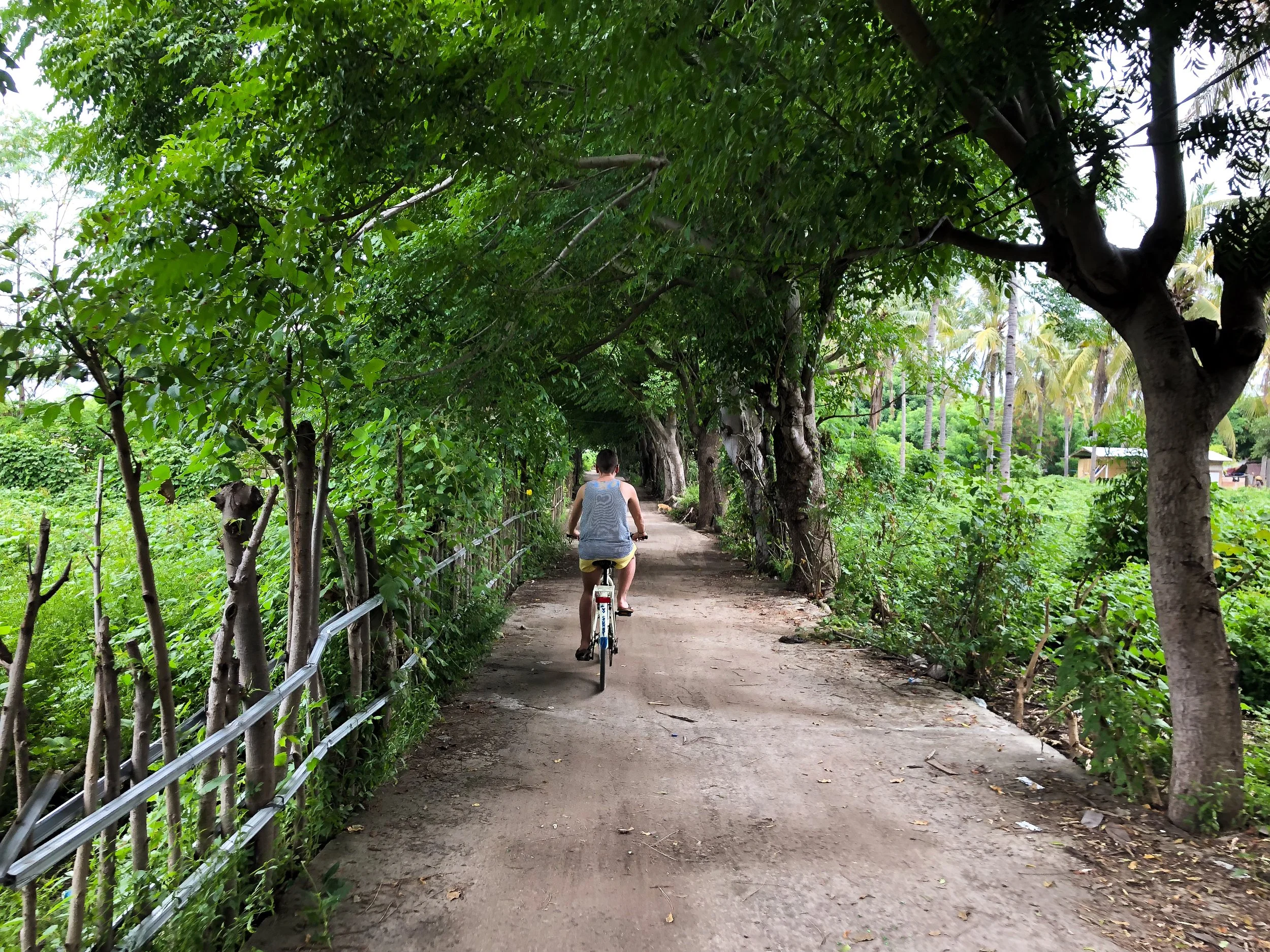 Gili_T_Bike_Rental.jpg