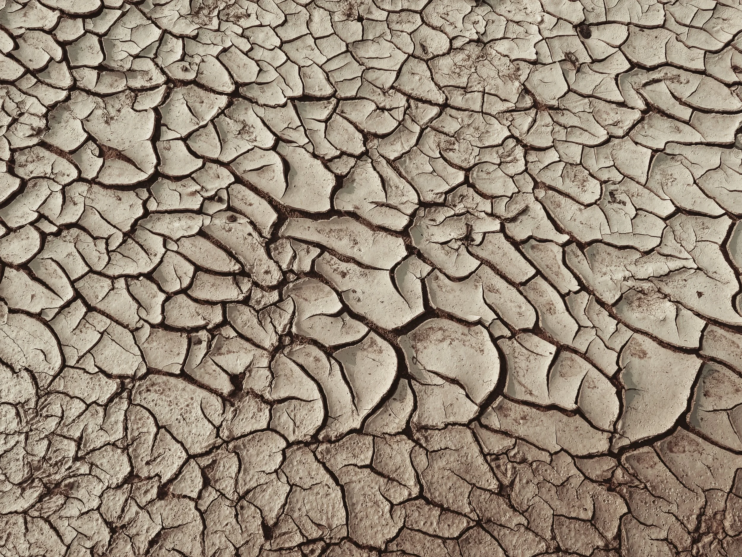 Climate_Change_01.jpg