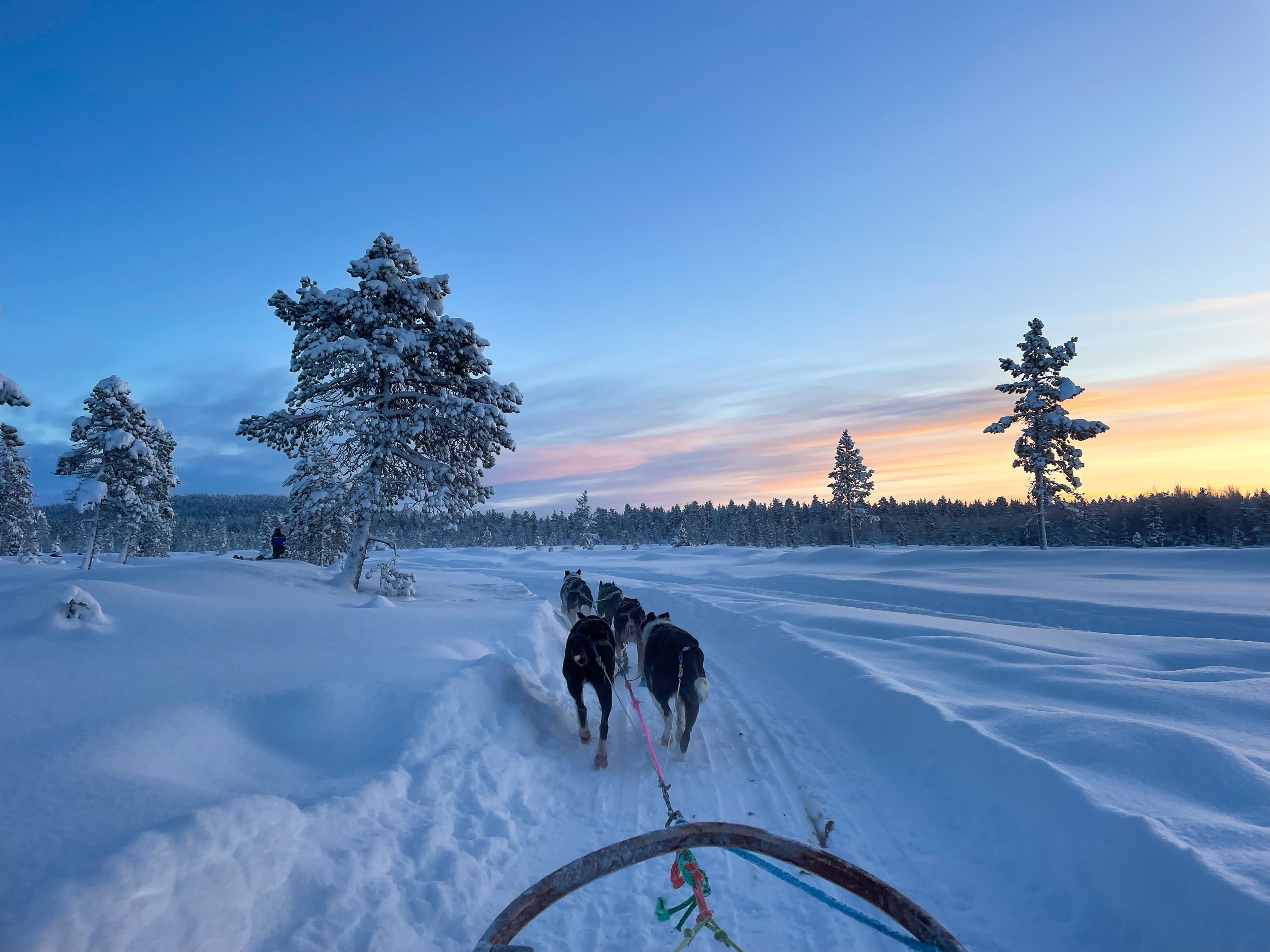 Nordic_03.jpg
