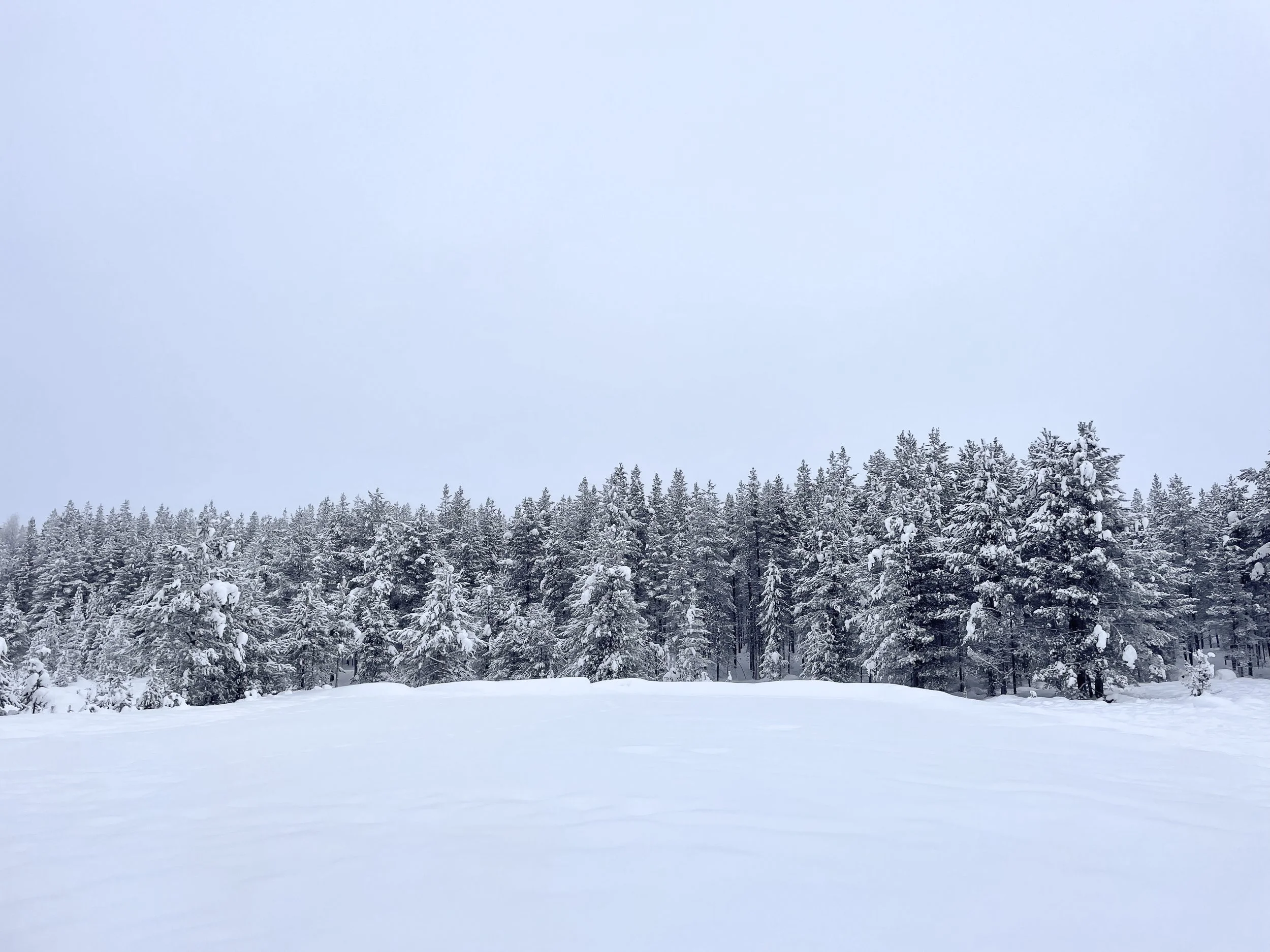 Nordic_07.jpg