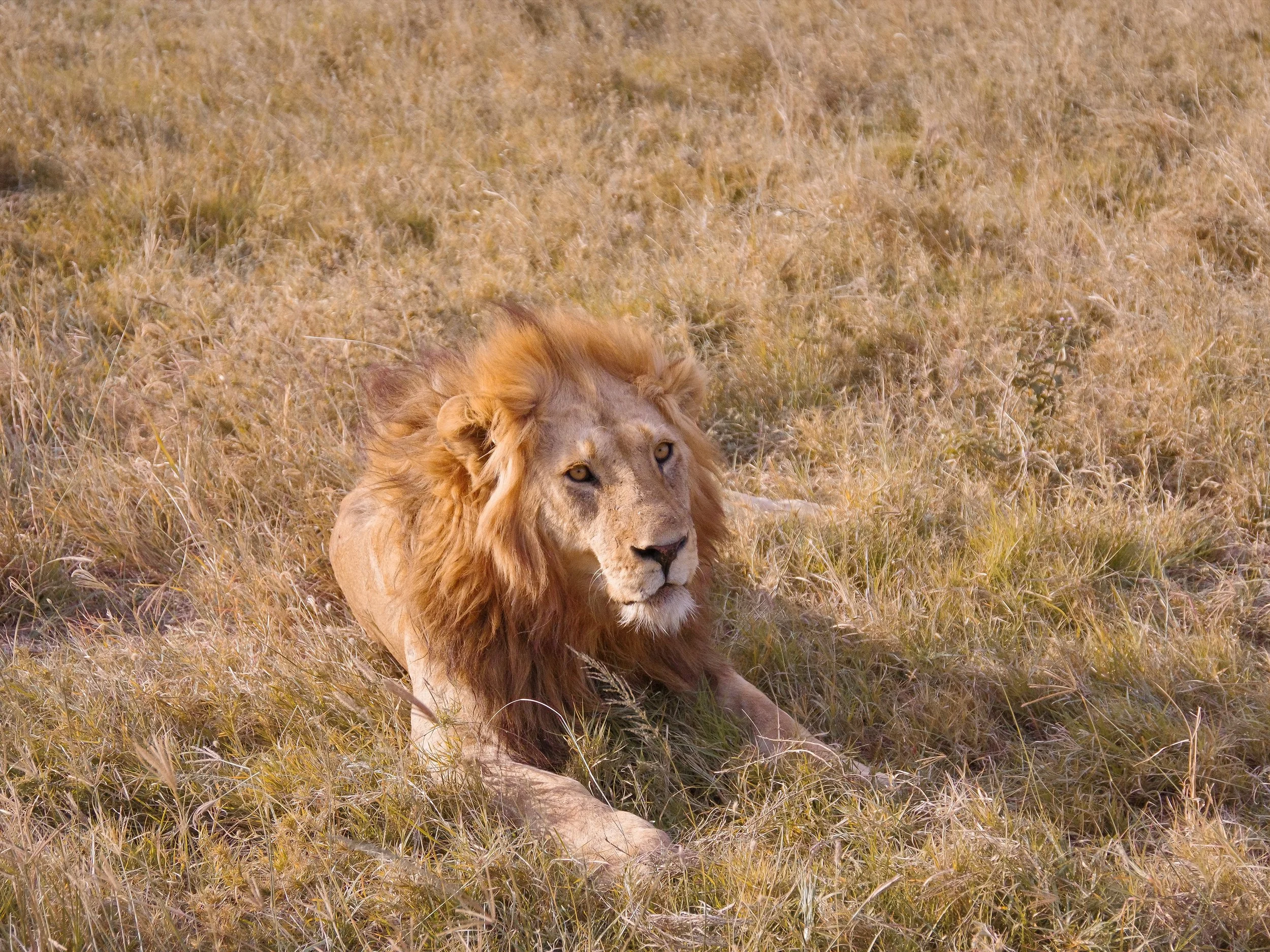 Tanzania_01.jpg