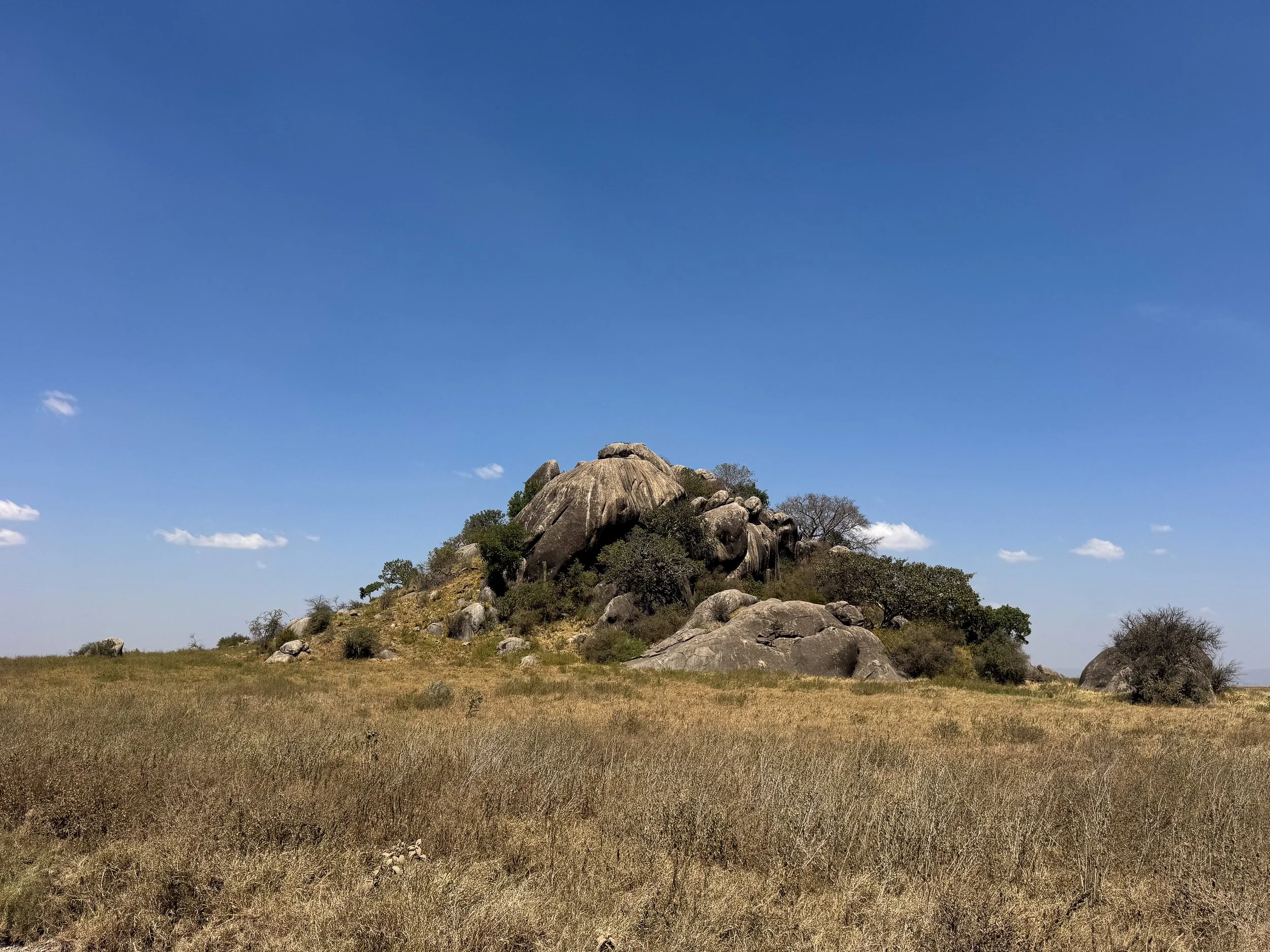 Tanzania_04.jpg