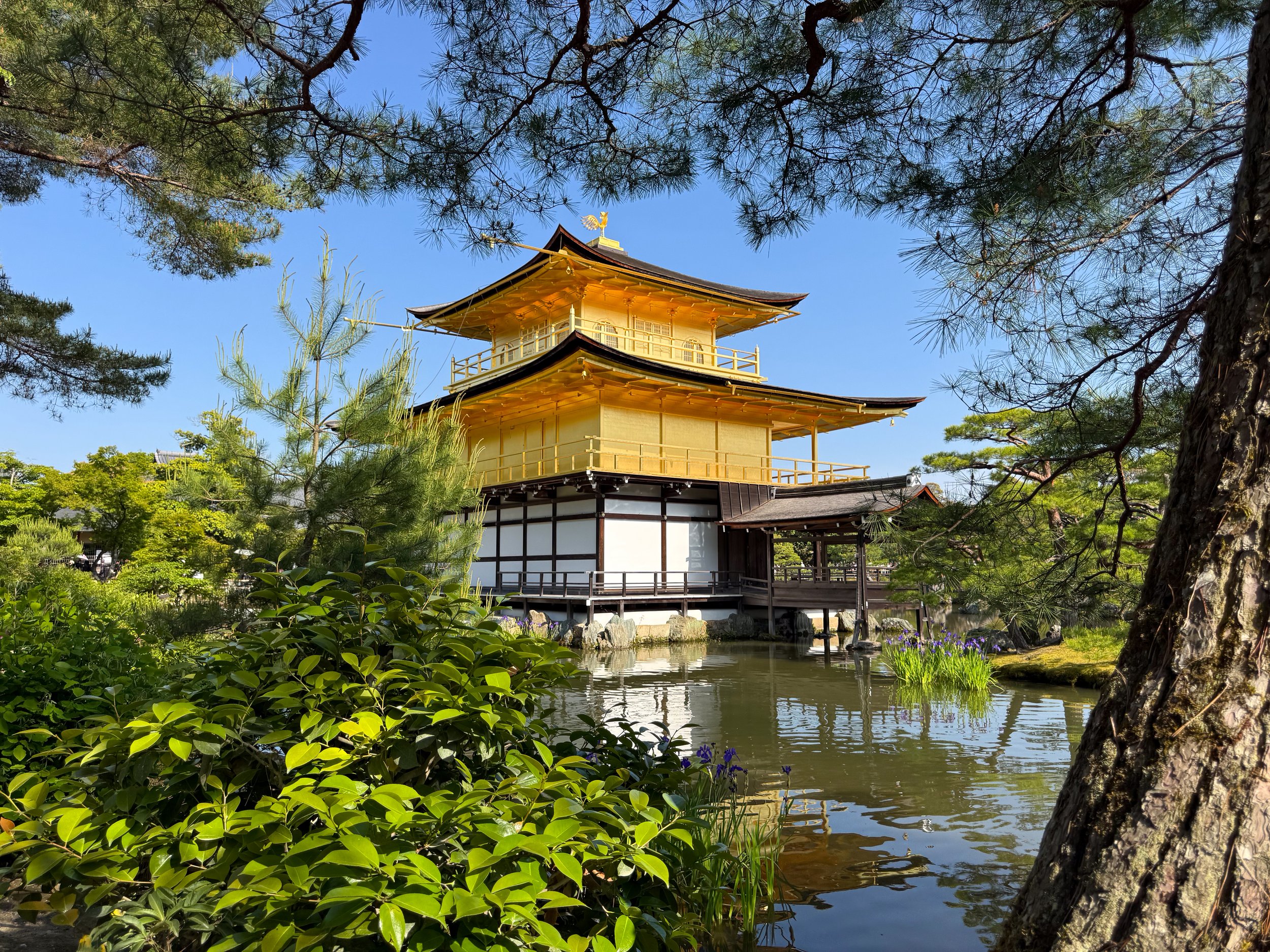 Japan_05.jpg