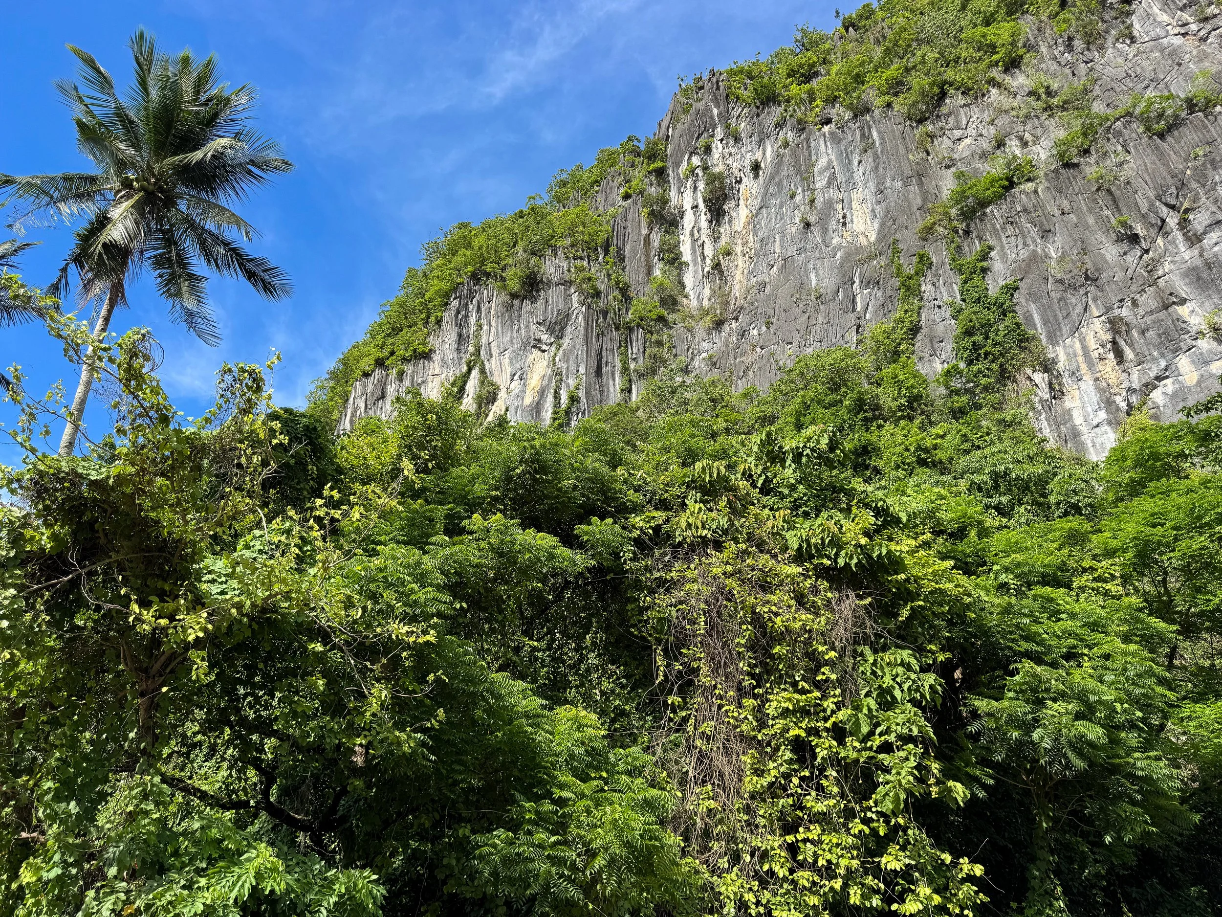 Philippines_02.jpg