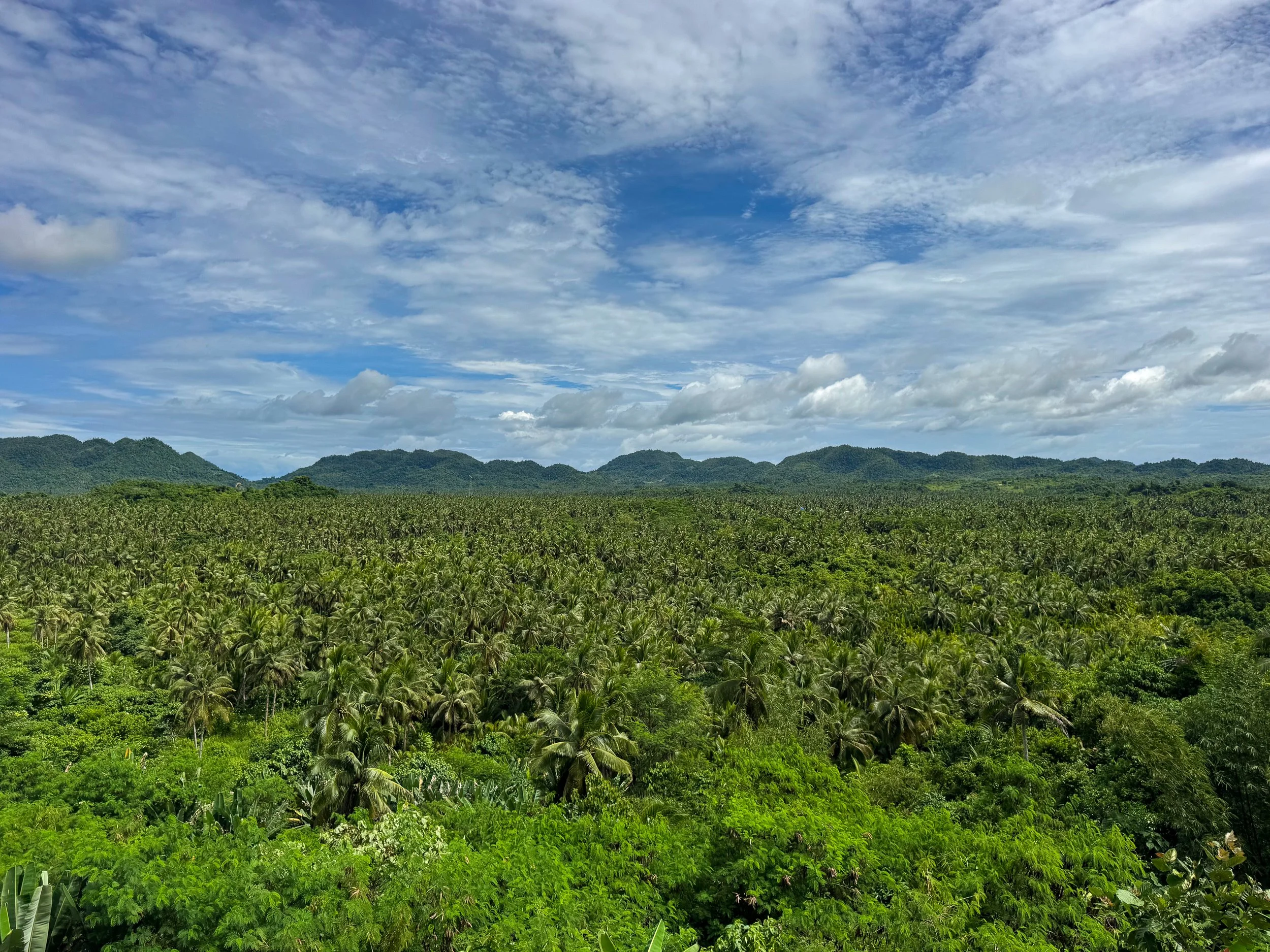 Philippines_05.jpg