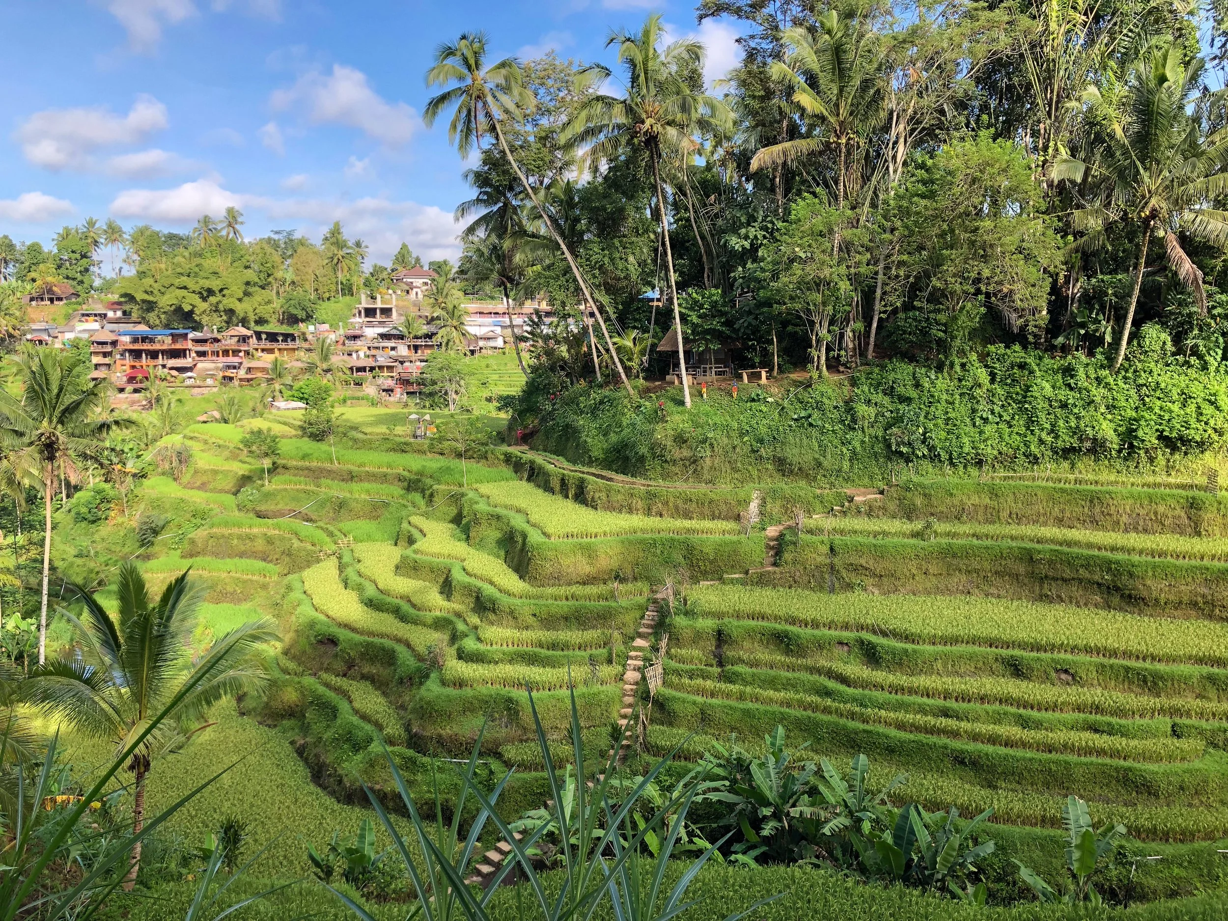 Indonesia_07.jpg