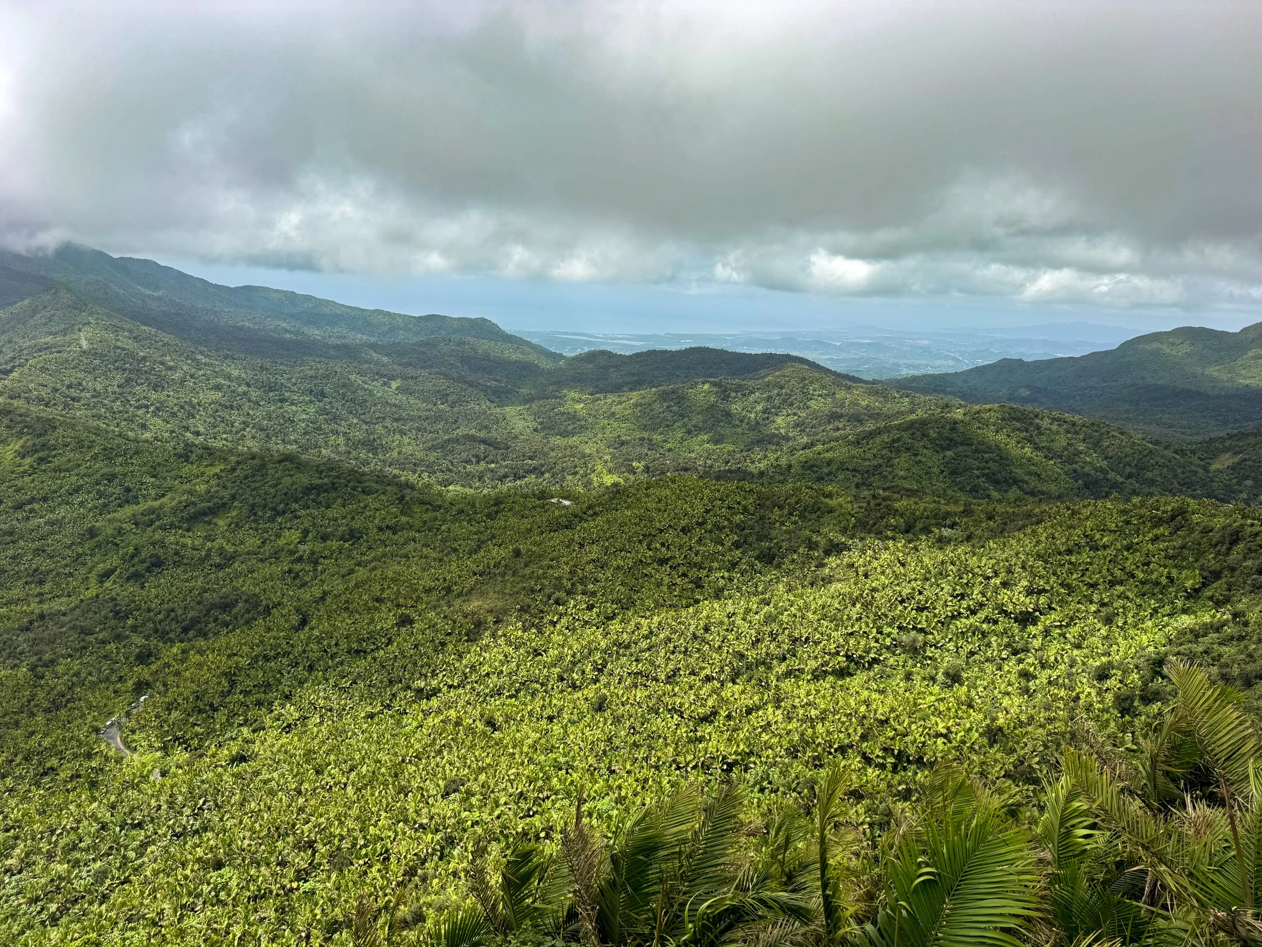 El_Yunque_04.jpg
