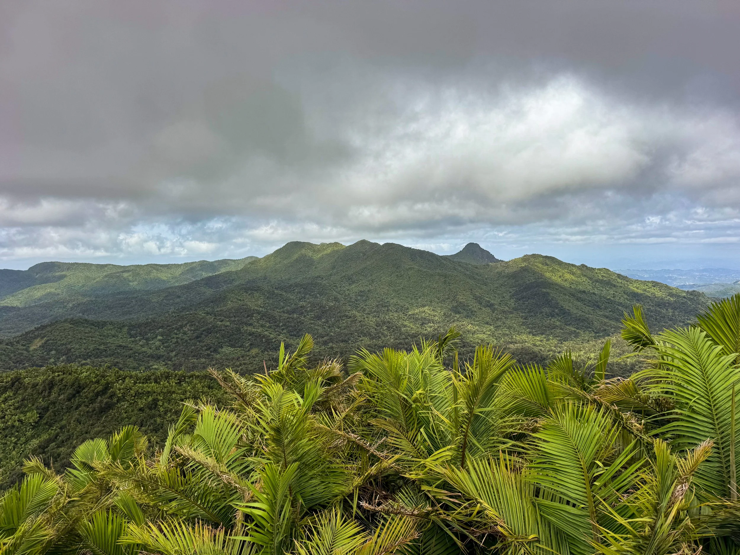 El_Yunque_05.jpg