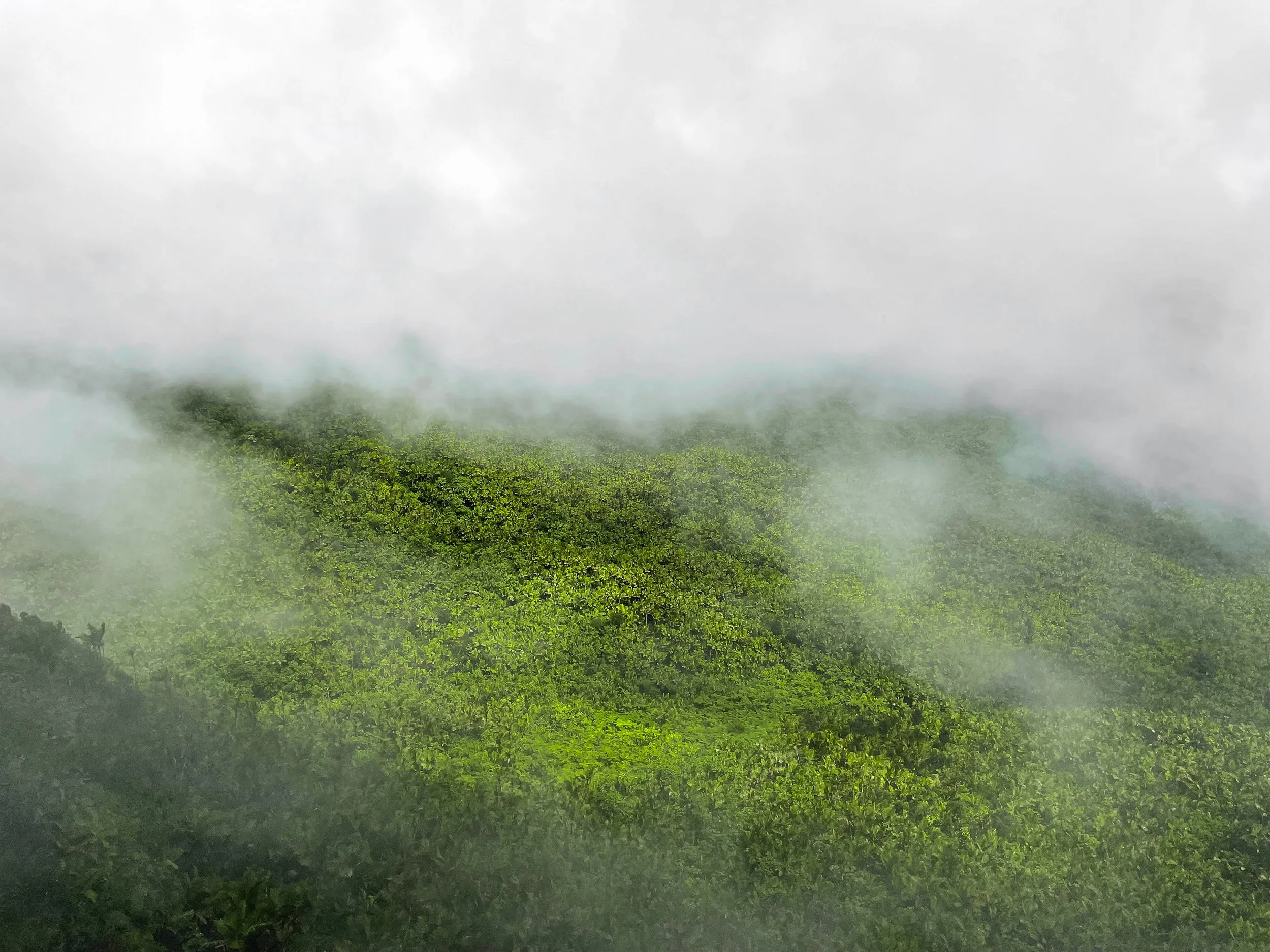 El_Yunque_07.jpg