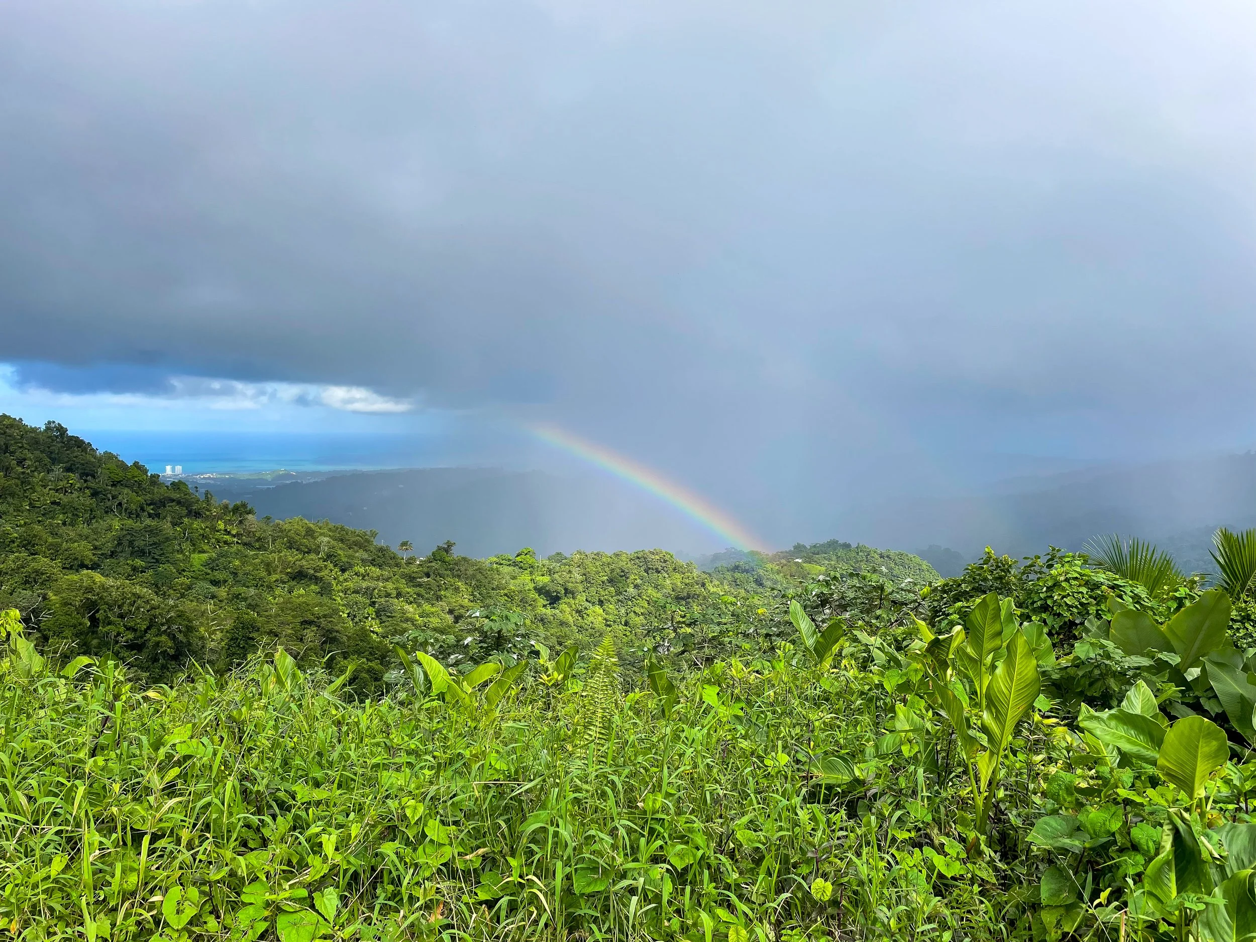 El_Yunque_06.jpg
