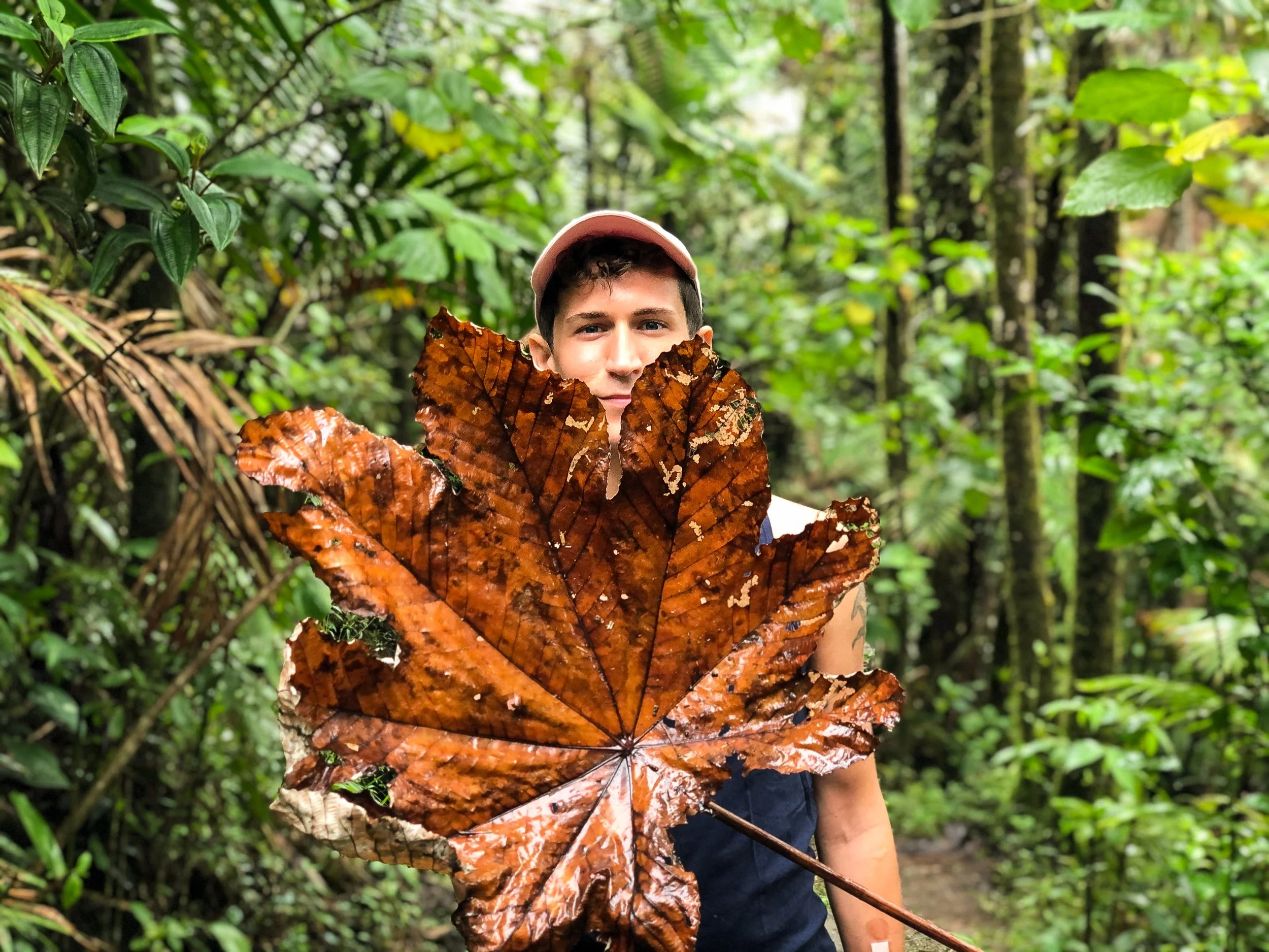 El_Yunque_09.jpg