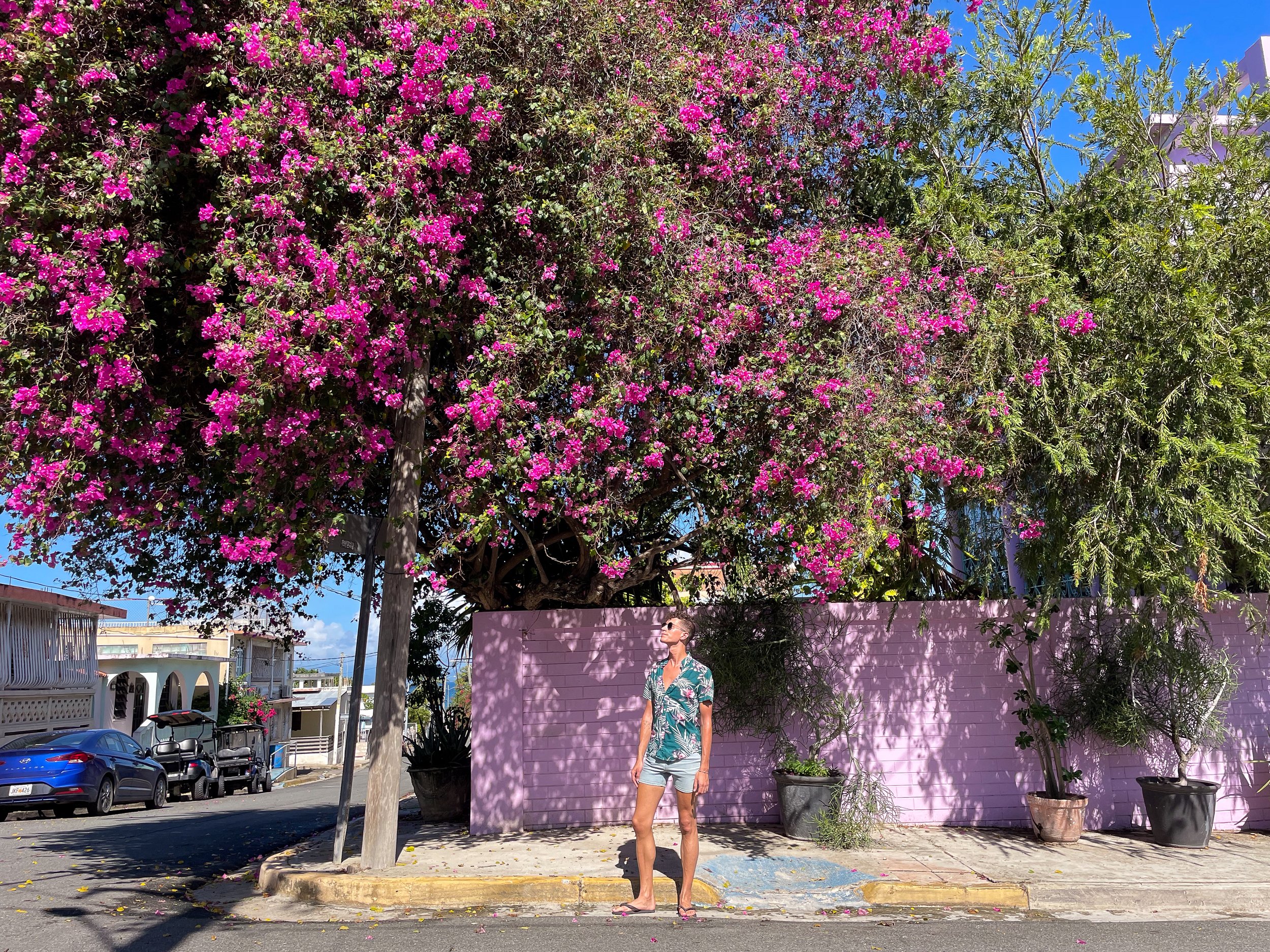 Vieques_02.jpg