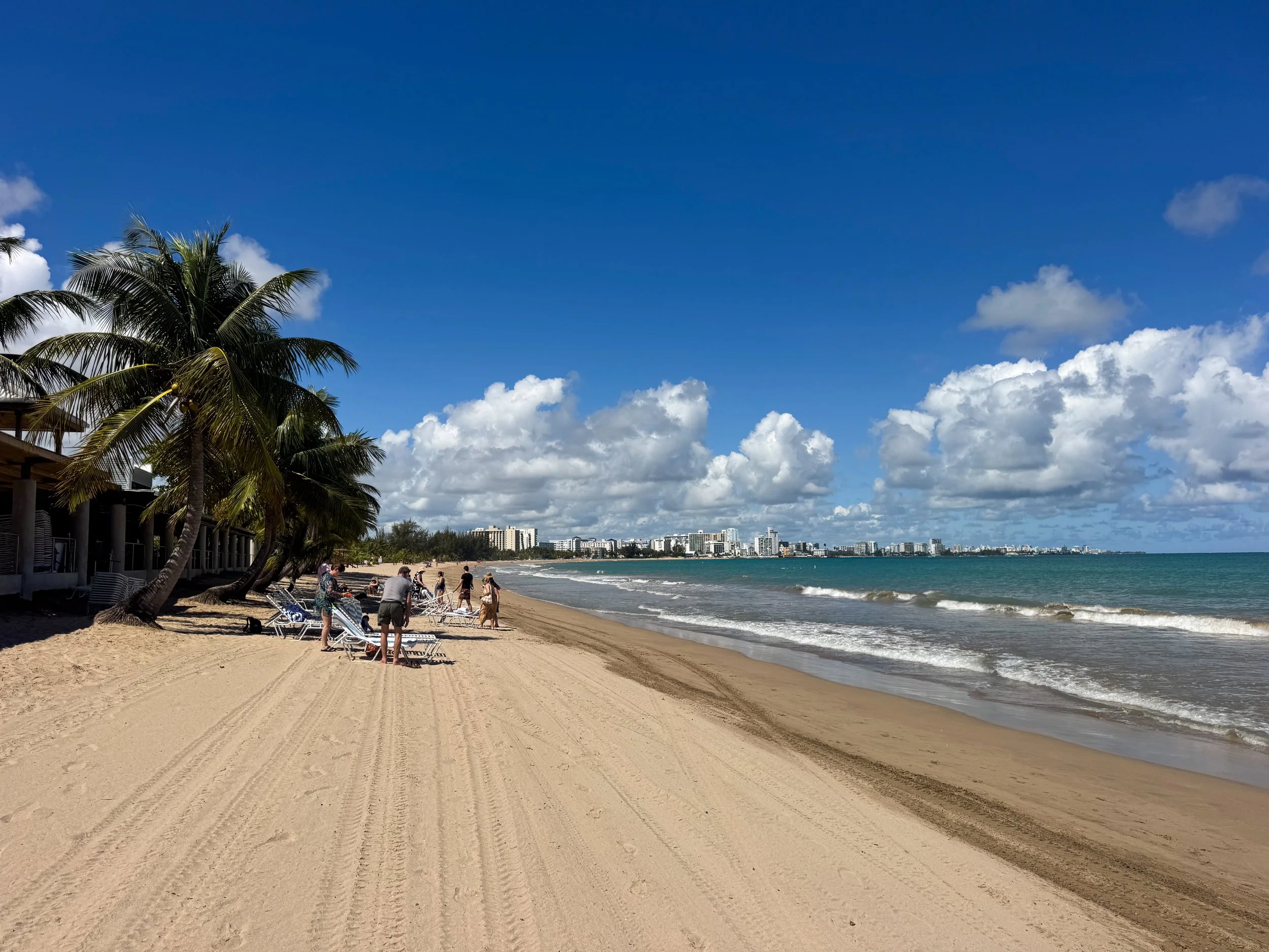 A wide sandy beach lined with leaning coconut palm trees and beach chairs with a city skyline and turquoise ocean stretching along the horizon