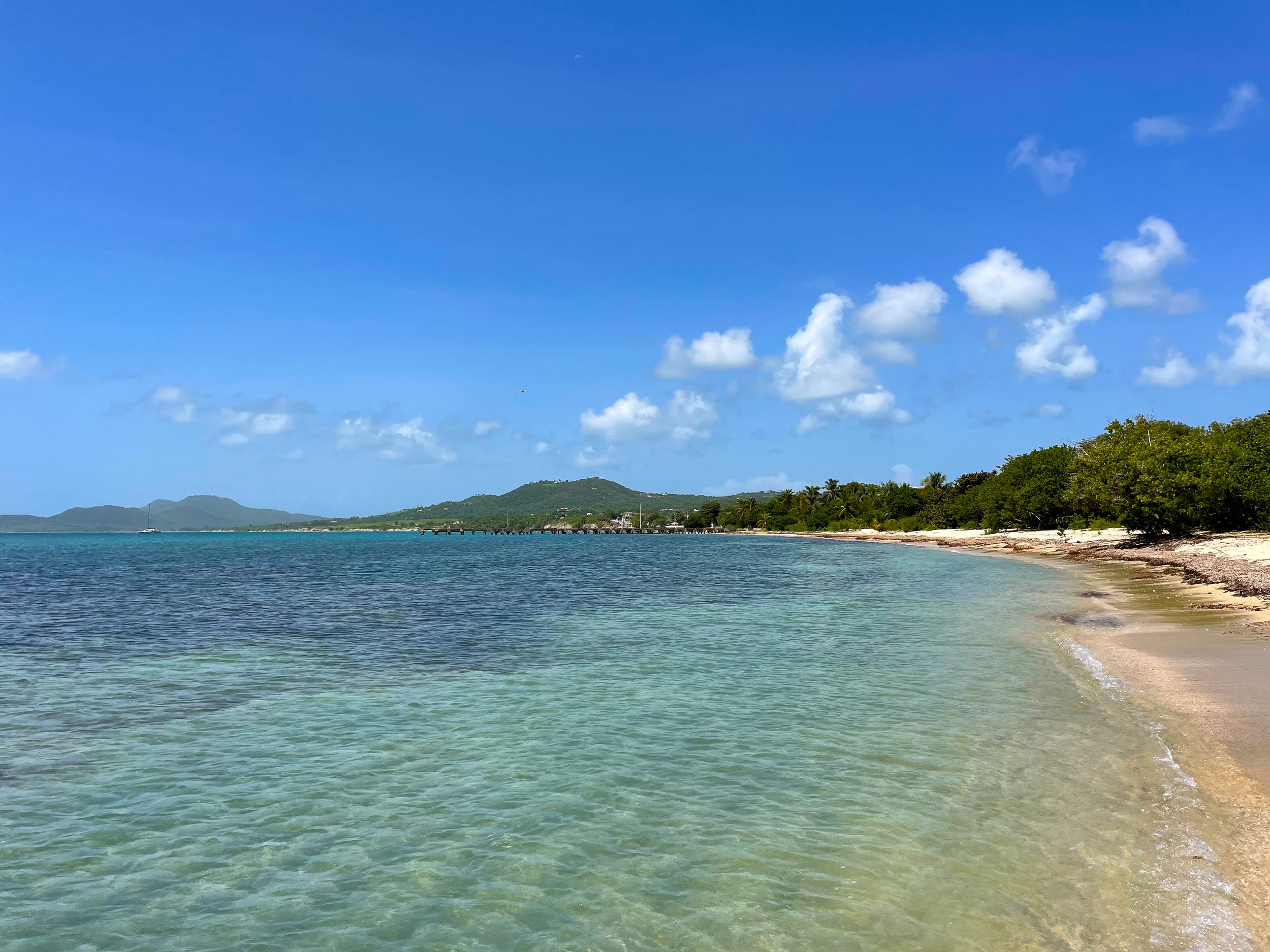 A calm turquoise beach in Vieques with a long pier and lush green hills beyond