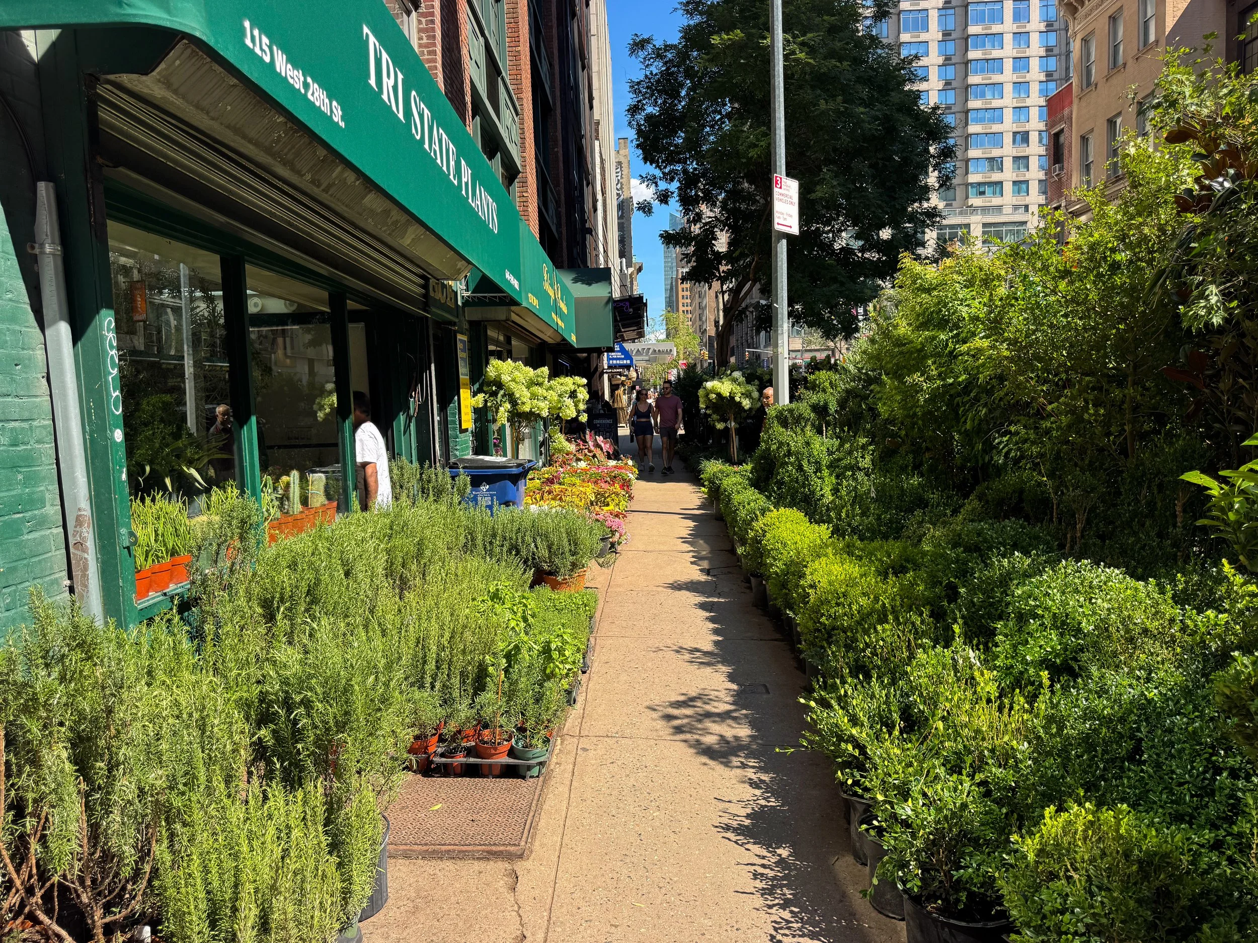 Sidewalk lined with potted shrubs, herbs and small trees outside plant shops with green awnings as shoppers browse the narrow walkway