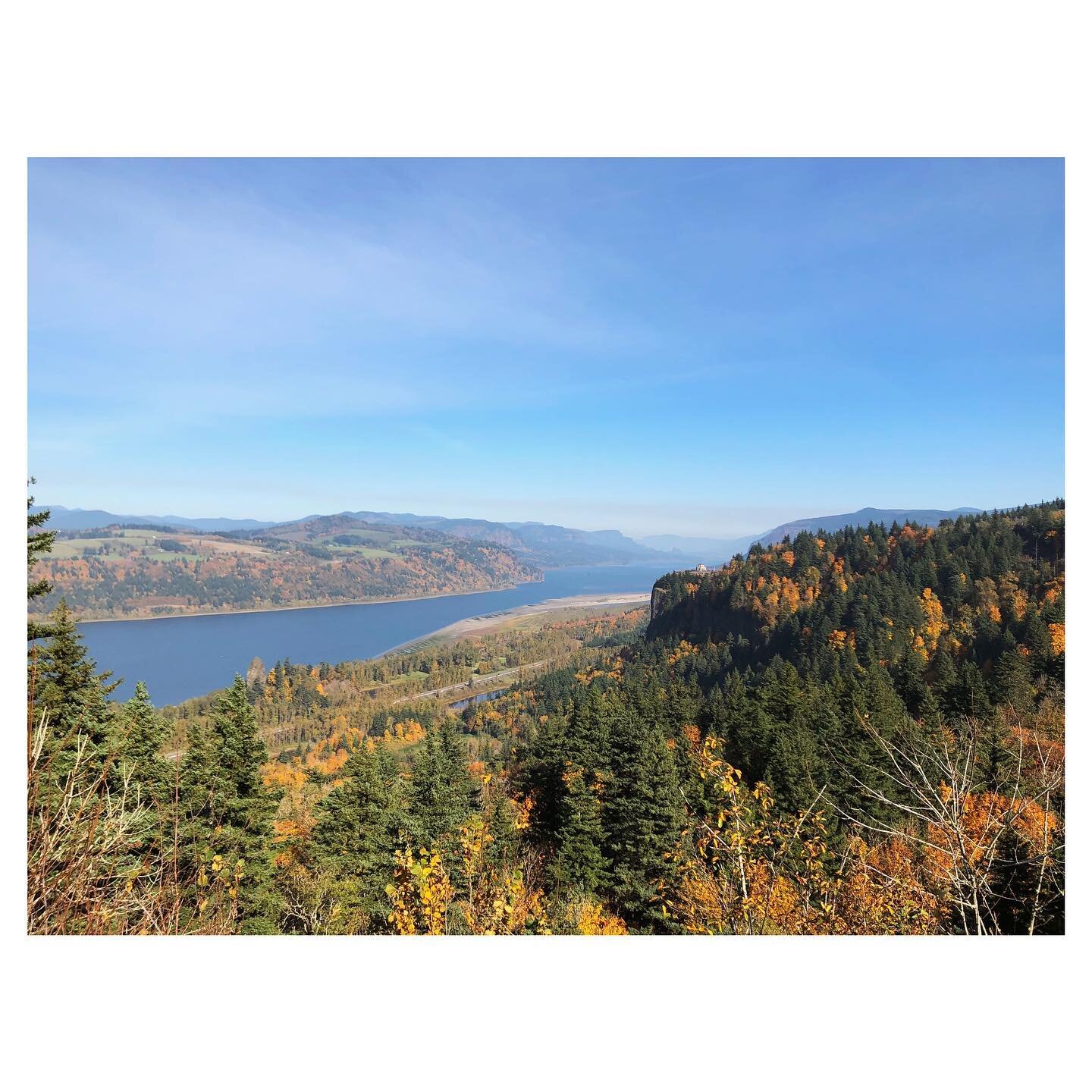 The Gorge is brilliant right now! We&rsquo;re lucky to have a couple projects out here which gives us a chance to get out of town from time to time. Can&rsquo;t complain about the scenic commute and what a treat to work amidst these luscious trees! S