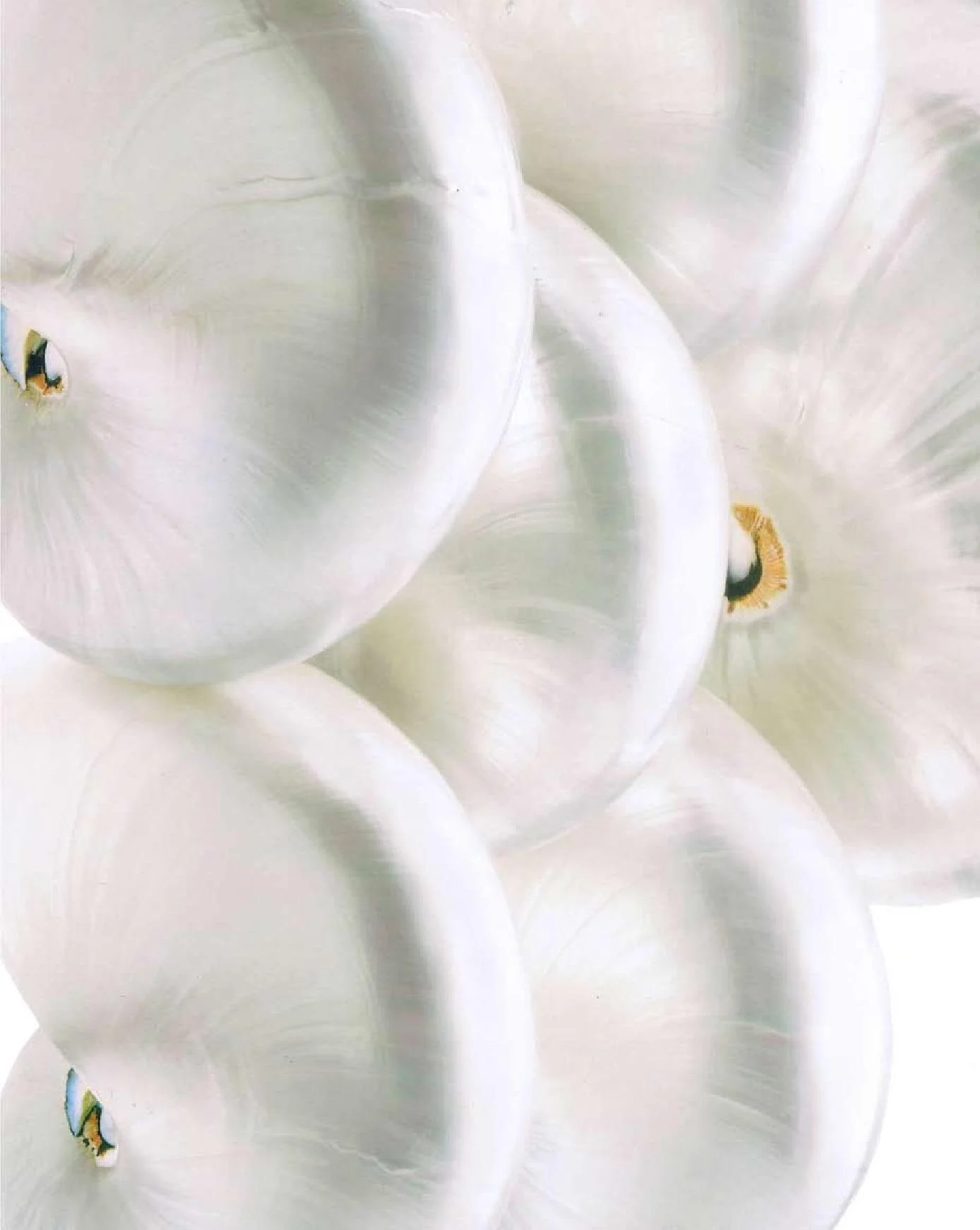 canvas article final (published august 09) (1)-page-008.jpg