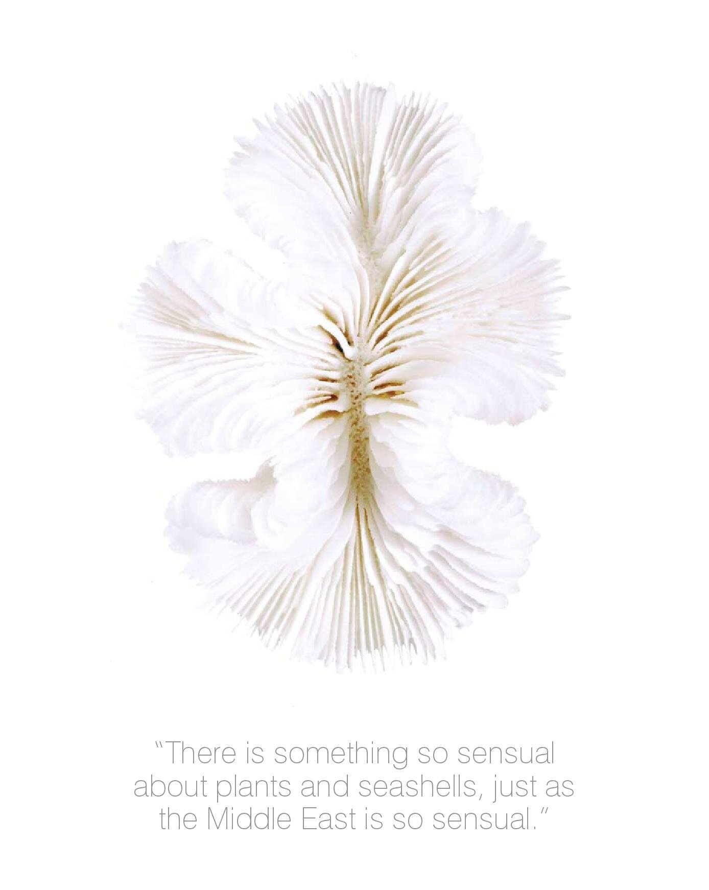 canvas article final (published august 09) (1)-page-007.jpg