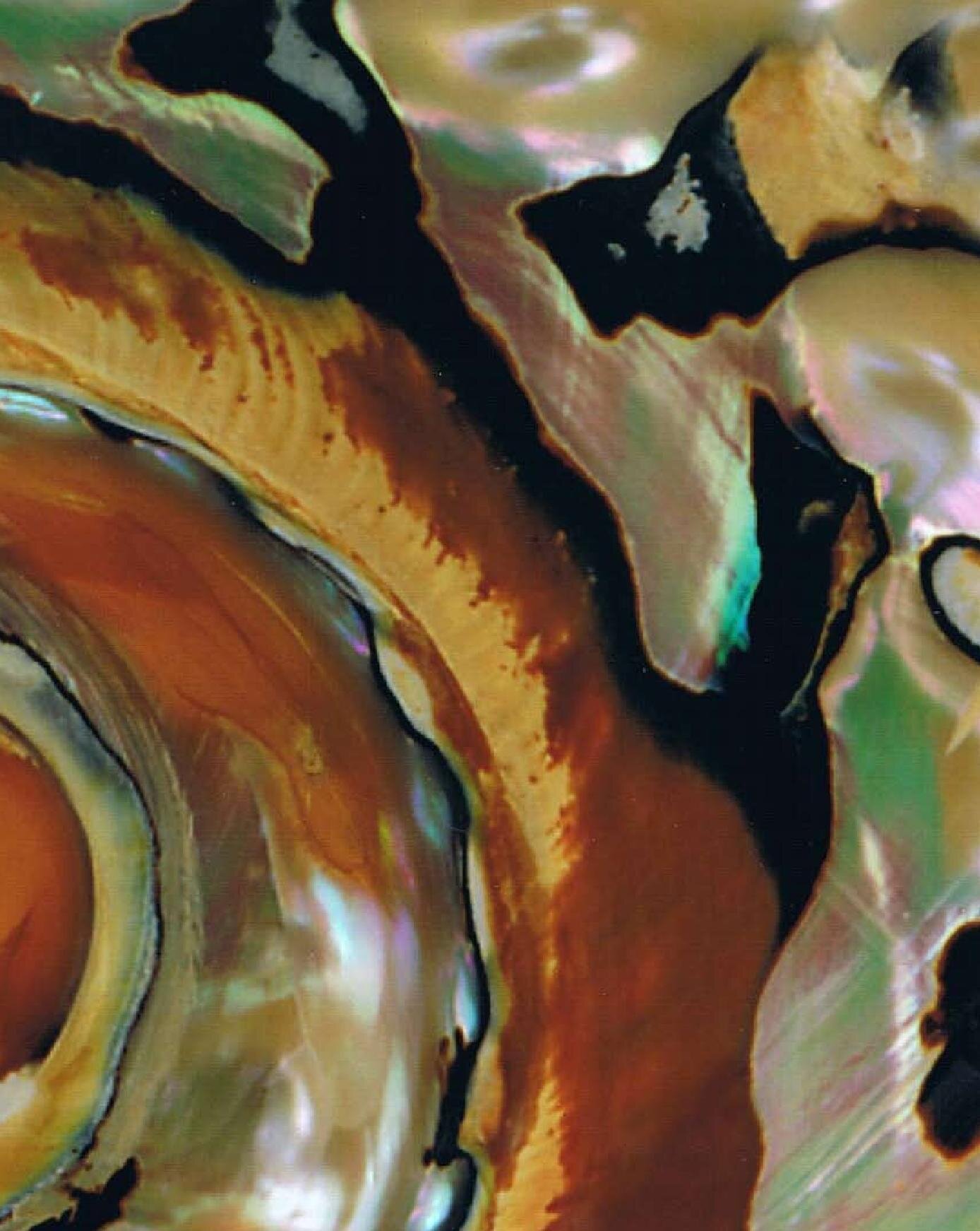 canvas article final (published august 09) (1)-page-006.jpg