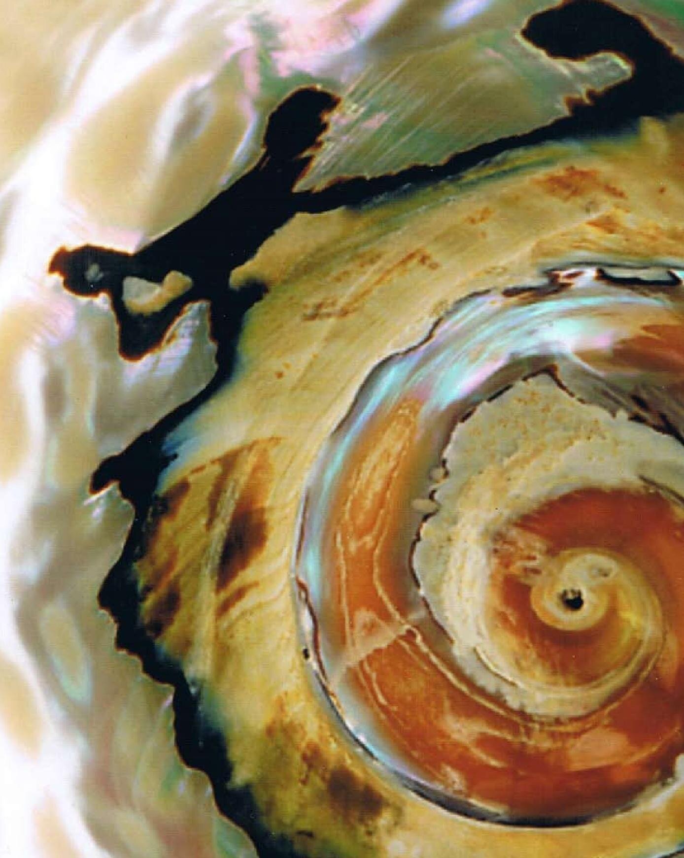 canvas article final (published august 09) (1)-page-005.jpg