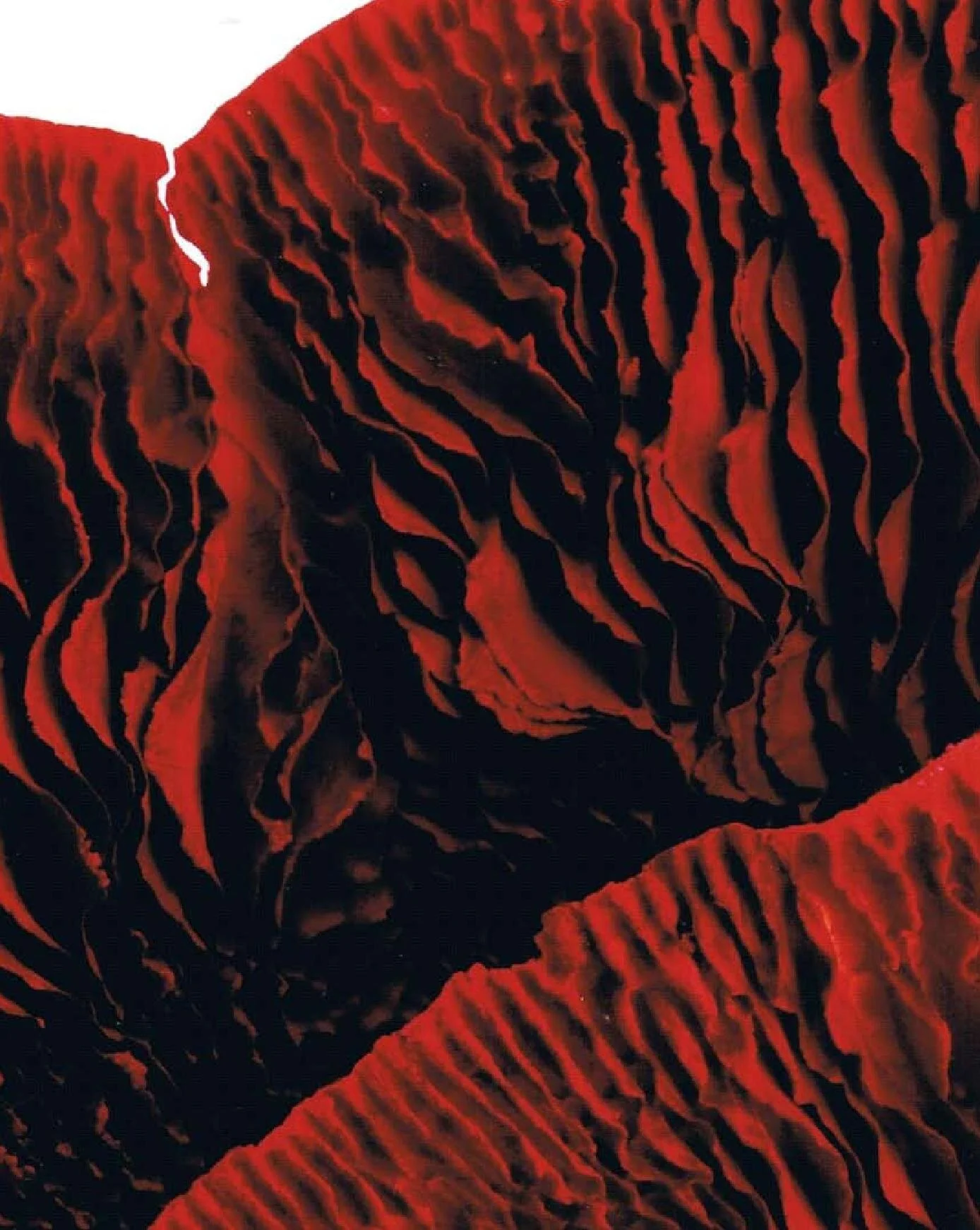 canvas article final (published august 09) (1)-page-002.jpg