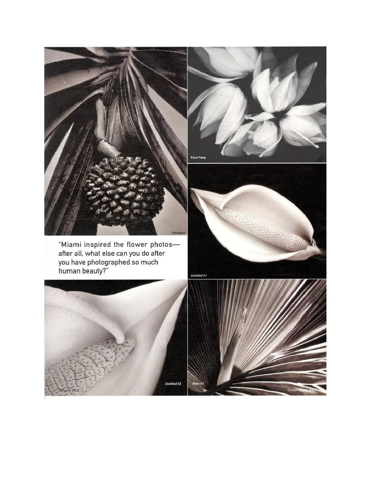 Ocean Drive press release -page-006.jpg