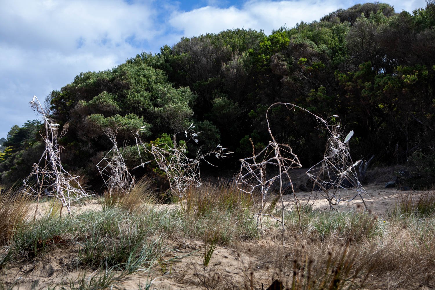 Lorne Biennale Day 1 (48 of 90) copy.jpg