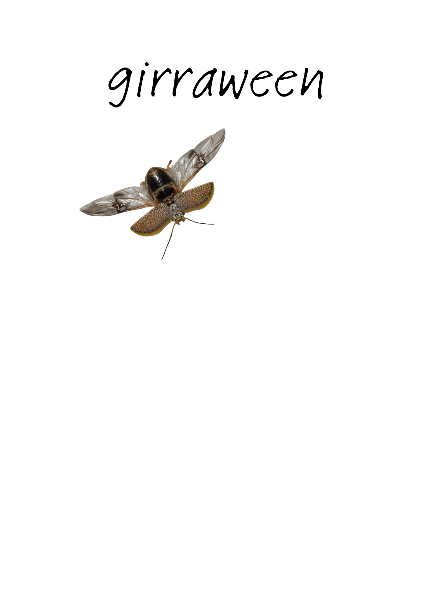 girraween.png